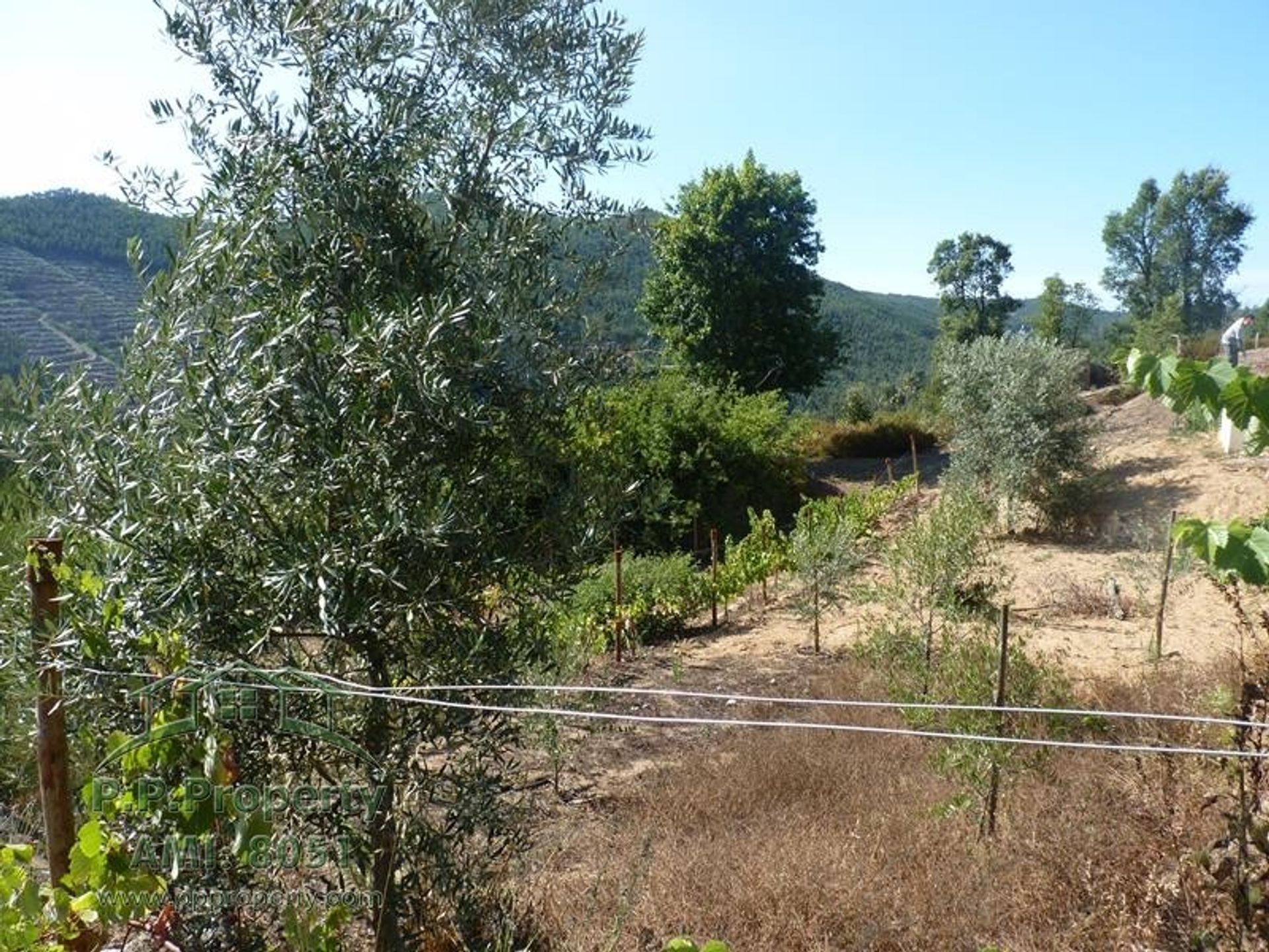 loger dans Figueiró Dos Vinhos, Leiria District 10991088