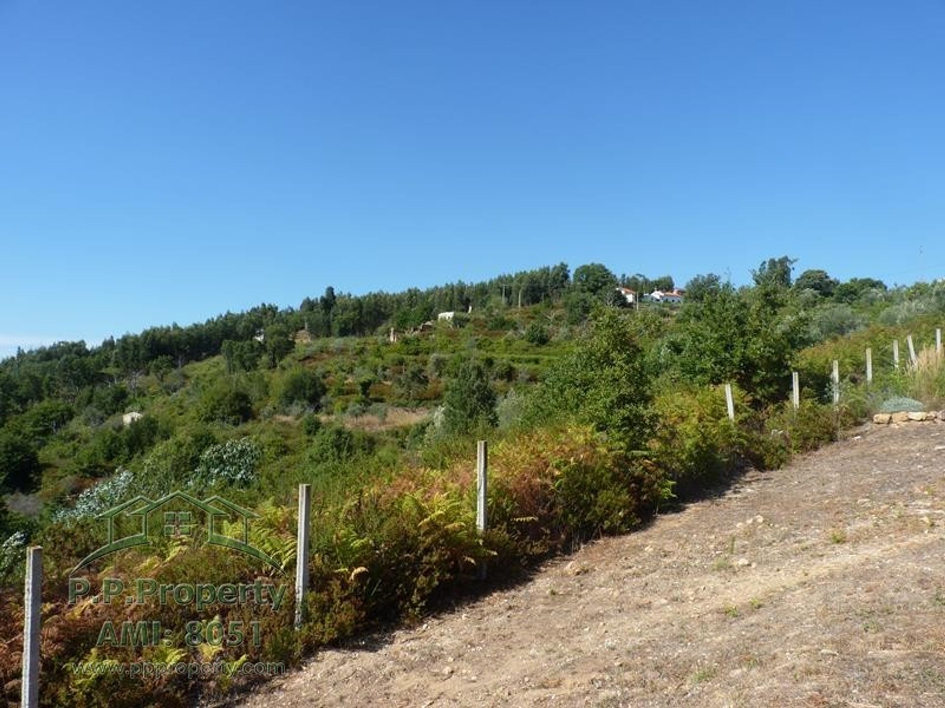 loger dans Figueiró Dos Vinhos, Leiria District 10991088