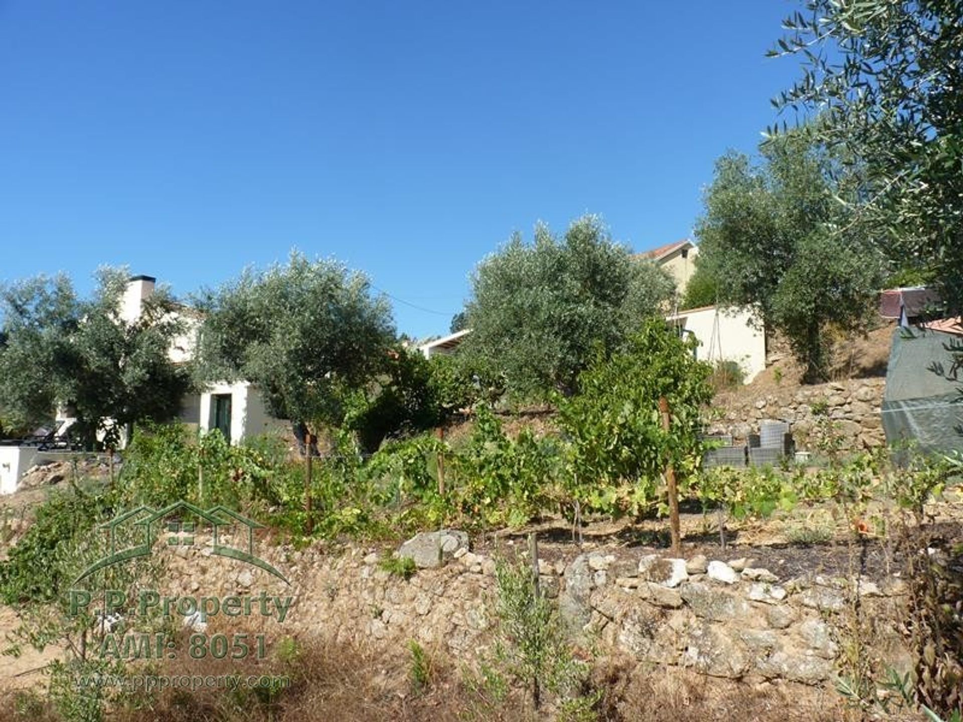 Huis in Figueiró Dos Vinhos, Leiria District 10991088