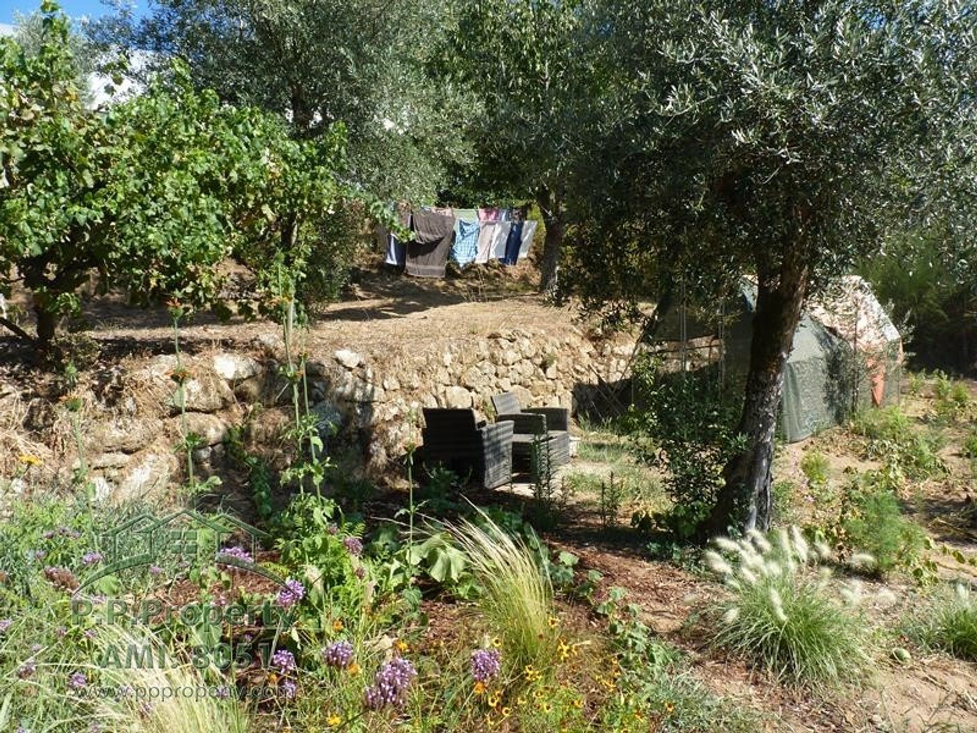 loger dans Figueiró Dos Vinhos, Leiria District 10991088