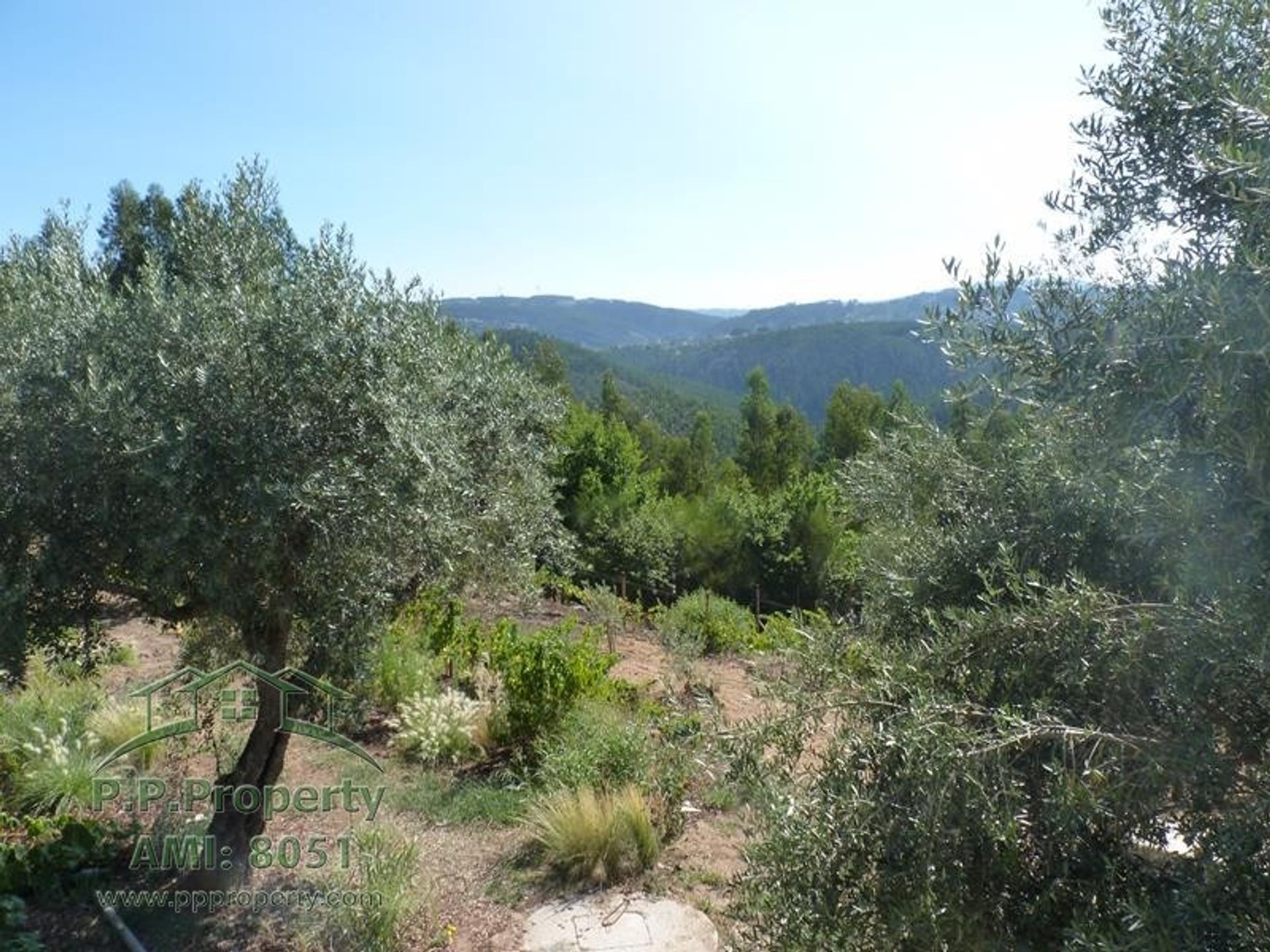 loger dans Figueiró Dos Vinhos, Leiria District 10991088