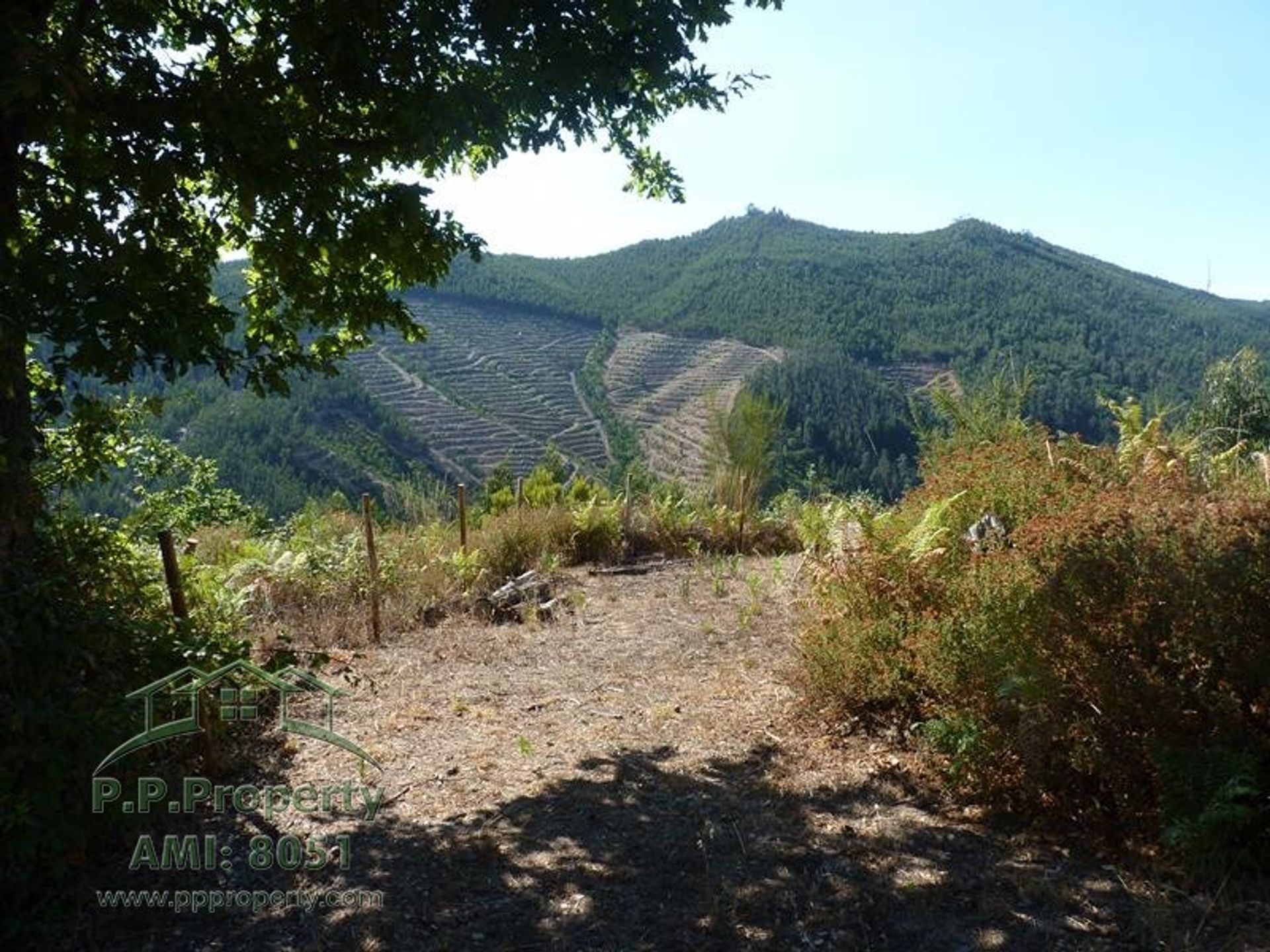 loger dans Figueiró Dos Vinhos, Leiria District 10991088