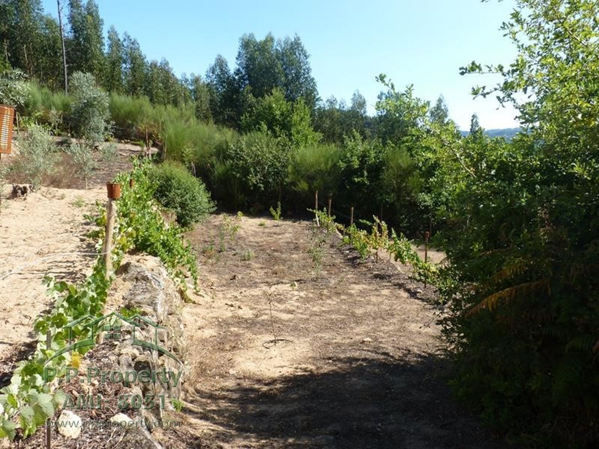 loger dans Figueiró Dos Vinhos, Leiria District 10991088