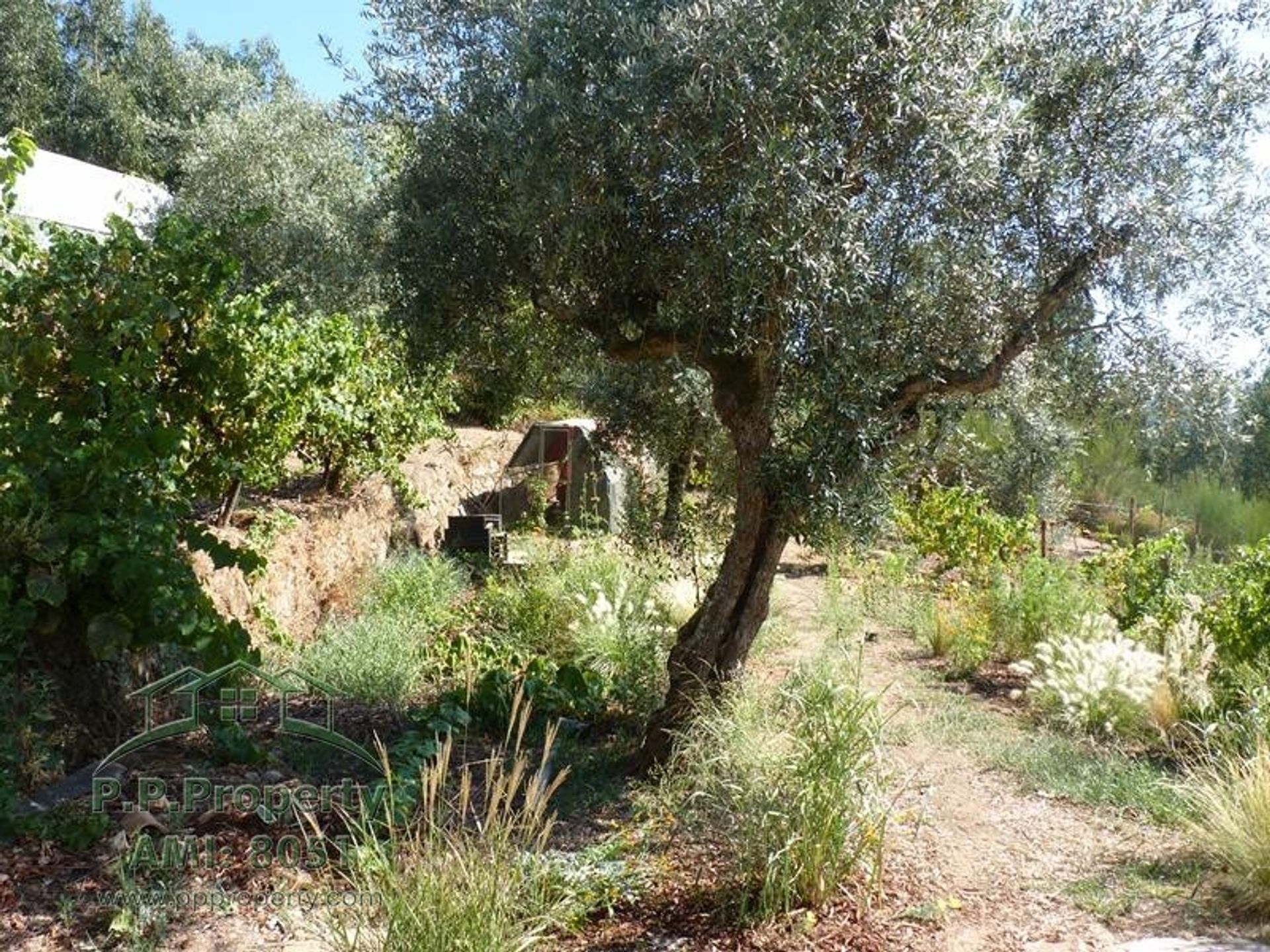 Huis in Figueiró Dos Vinhos, Leiria District 10991088