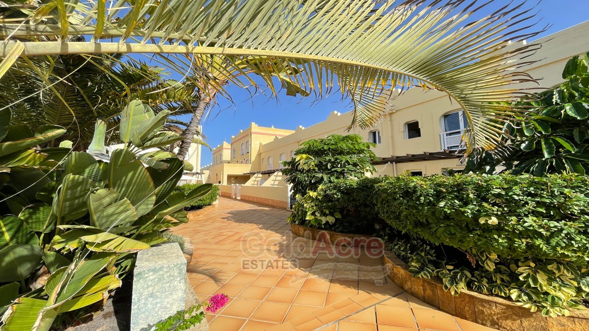 rumah dalam Corralejo, Canarias 10991098