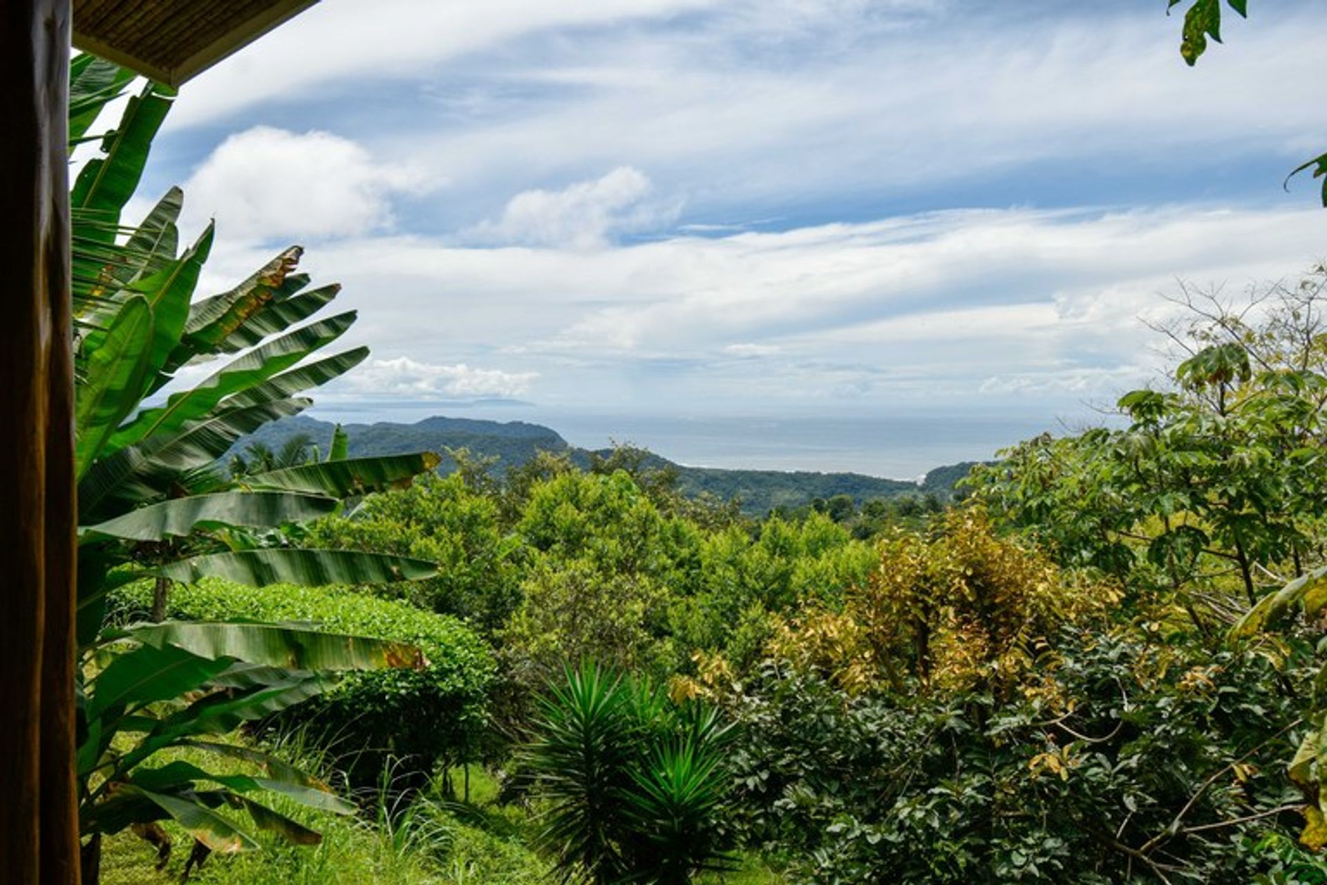 Роздрібна торгівля в , Guanacaste Province 10991336