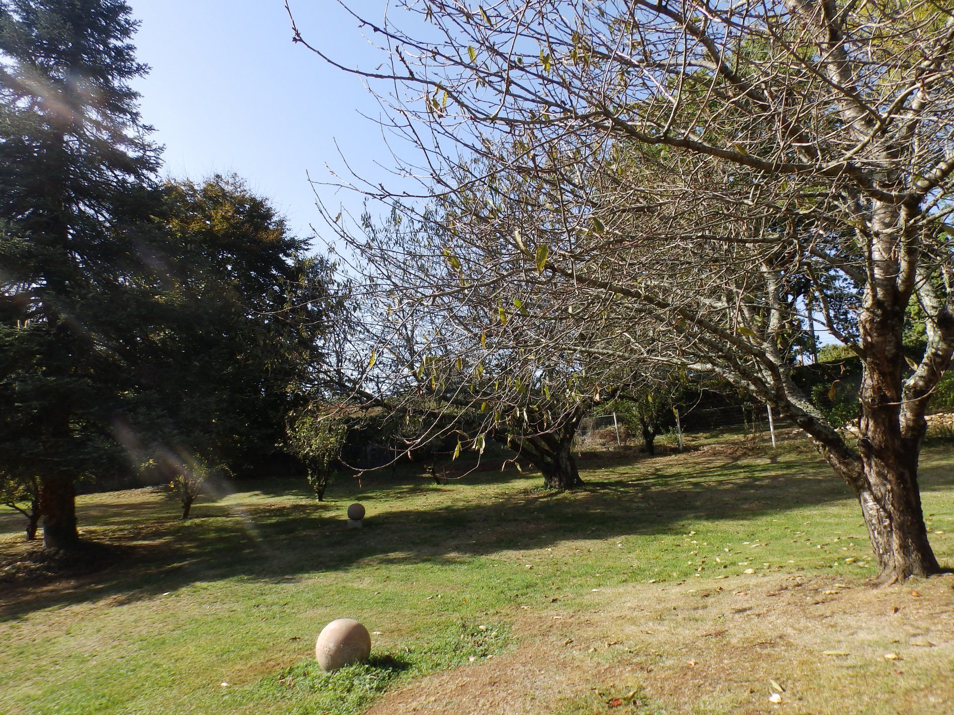 Autre dans Bernac, Nouvelle-Aquitaine 10991378