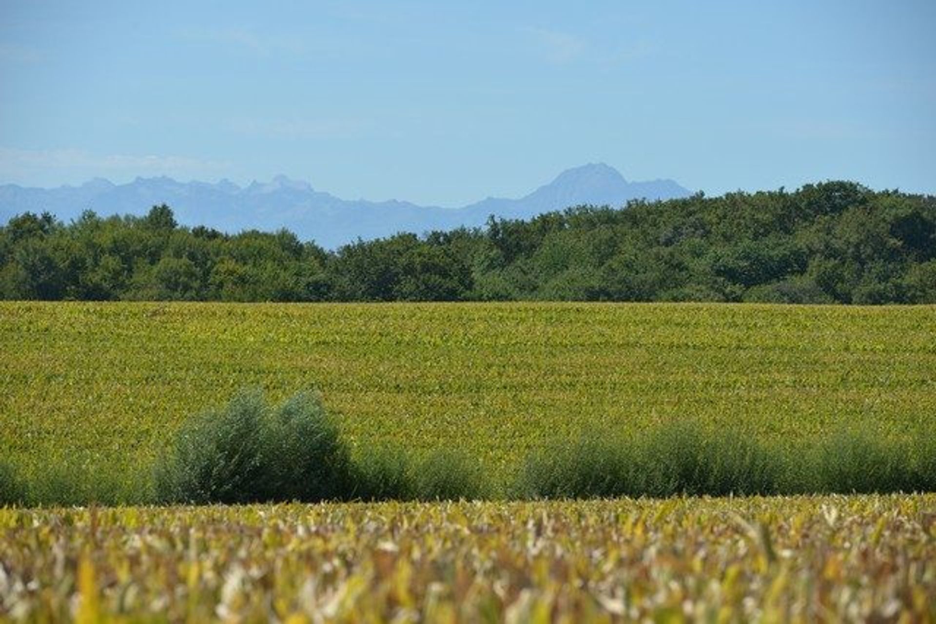 σπίτι σε Masseube, Occitanie 10991484