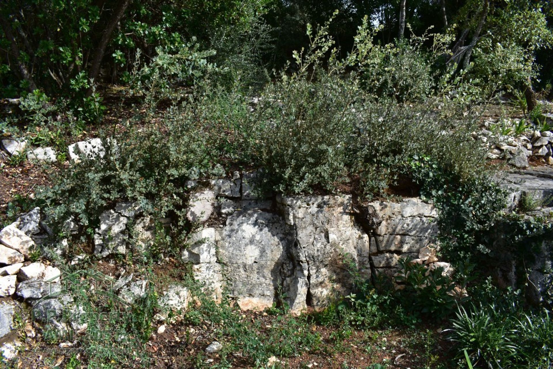 Casa nel Ansião, Leiria District 10991486