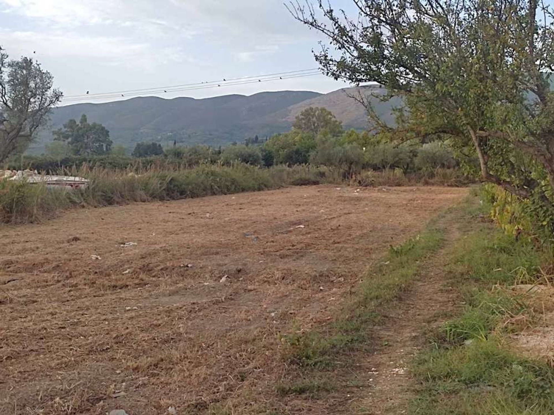 Land in Bochali, Ionia Nisia 10991527