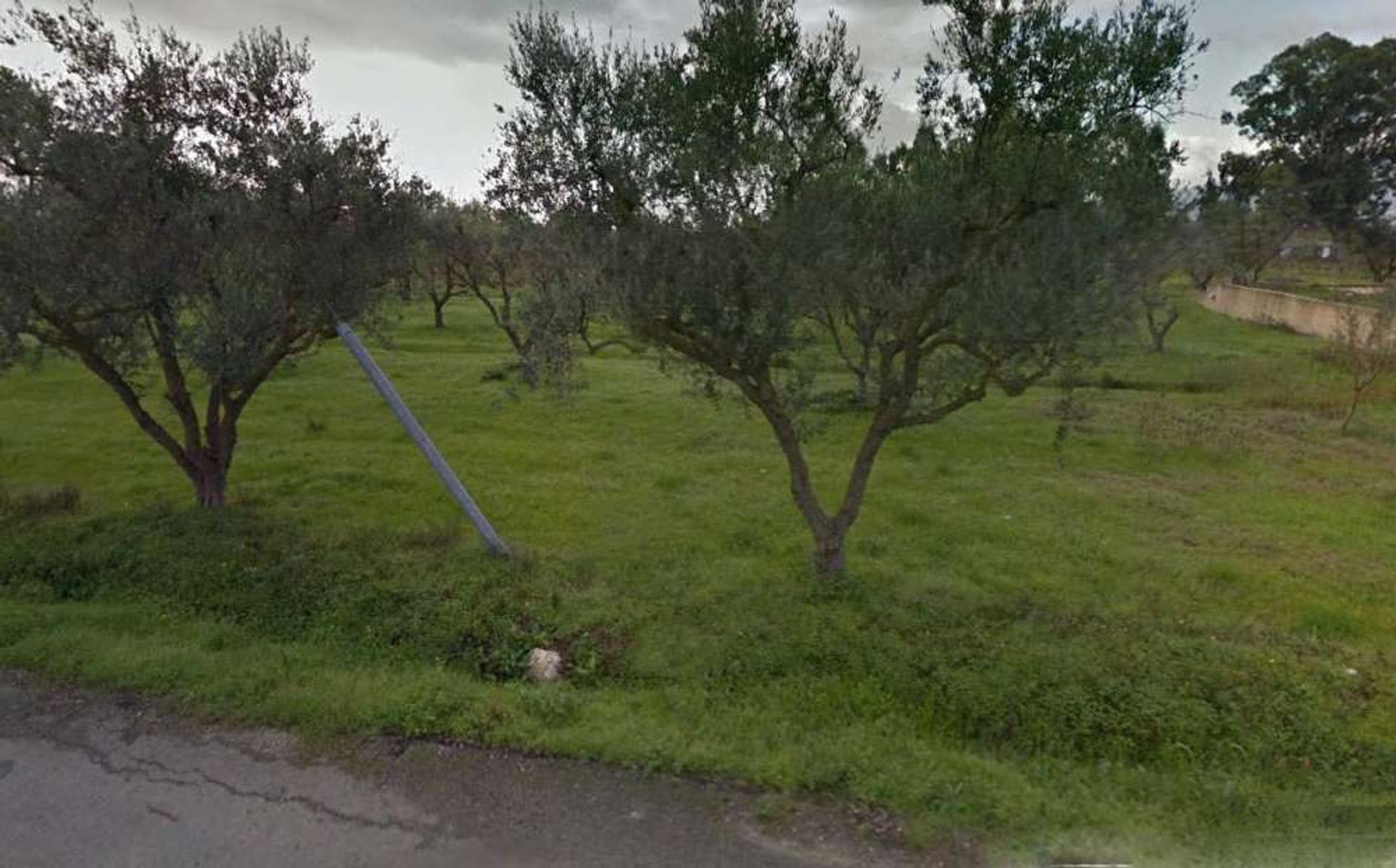 Land in Bochali, Ionia Nisia 10991544