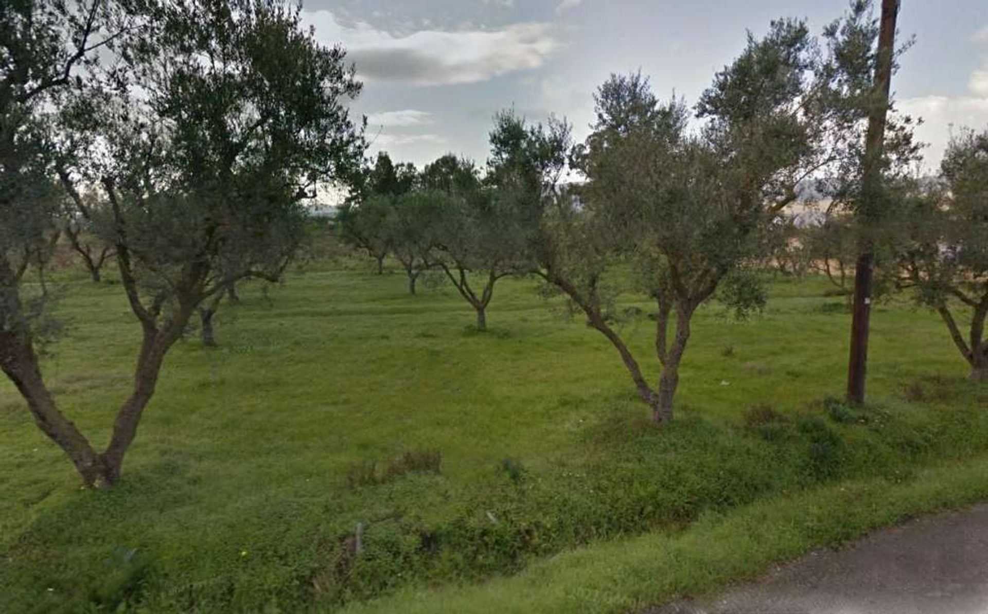 Land i Bochali, Ionia Nisia 10991544