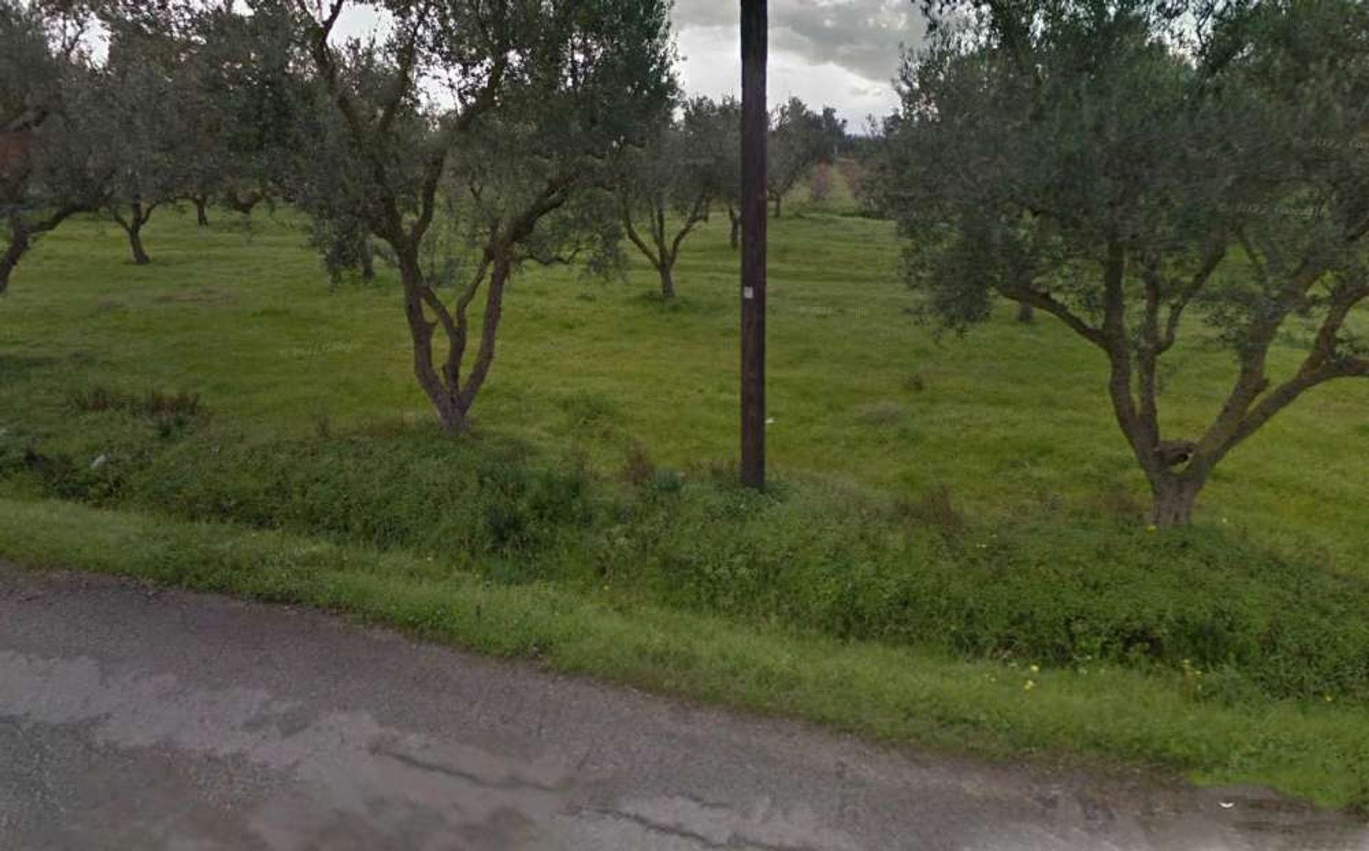 Land in Bochali, Ionia Nisia 10991544