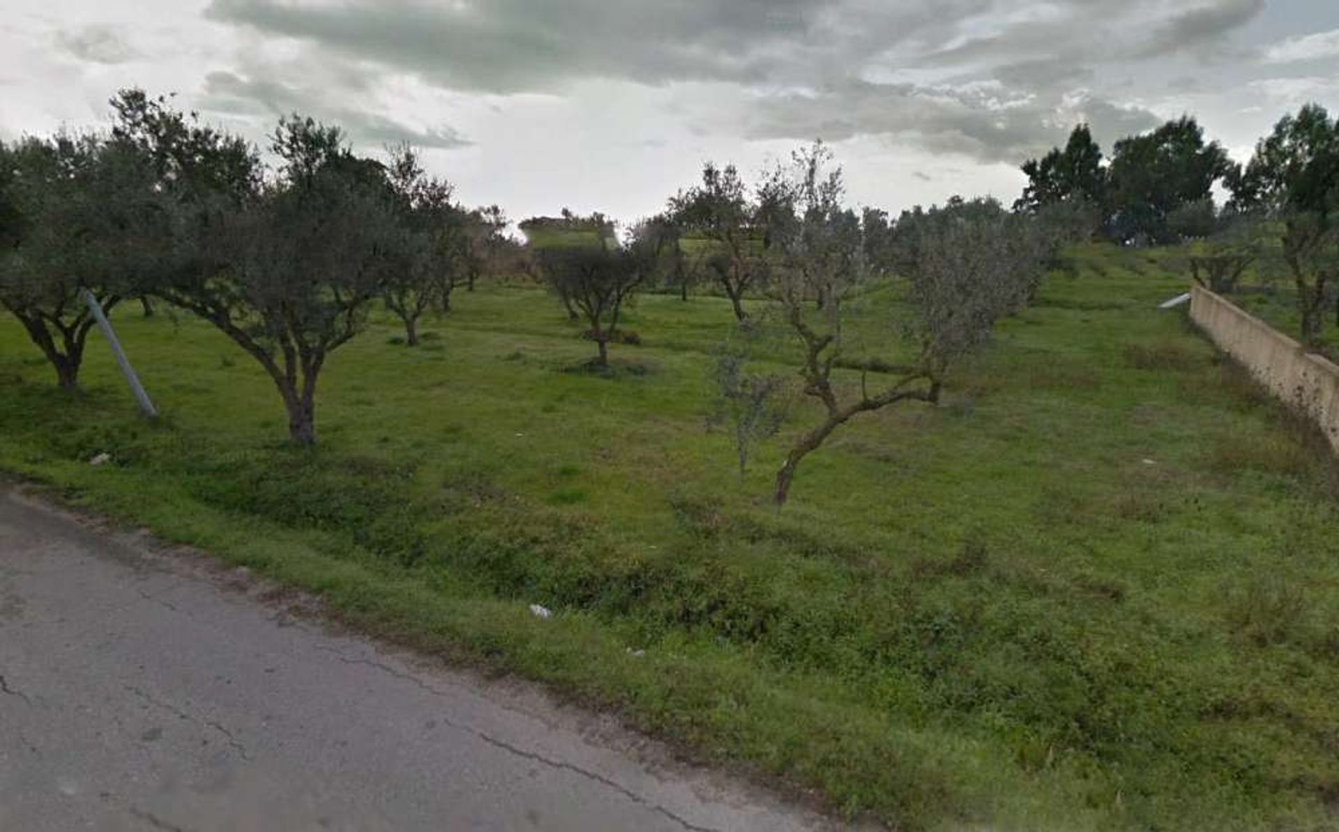 Land in Bochali, Ionia Nisia 10991544