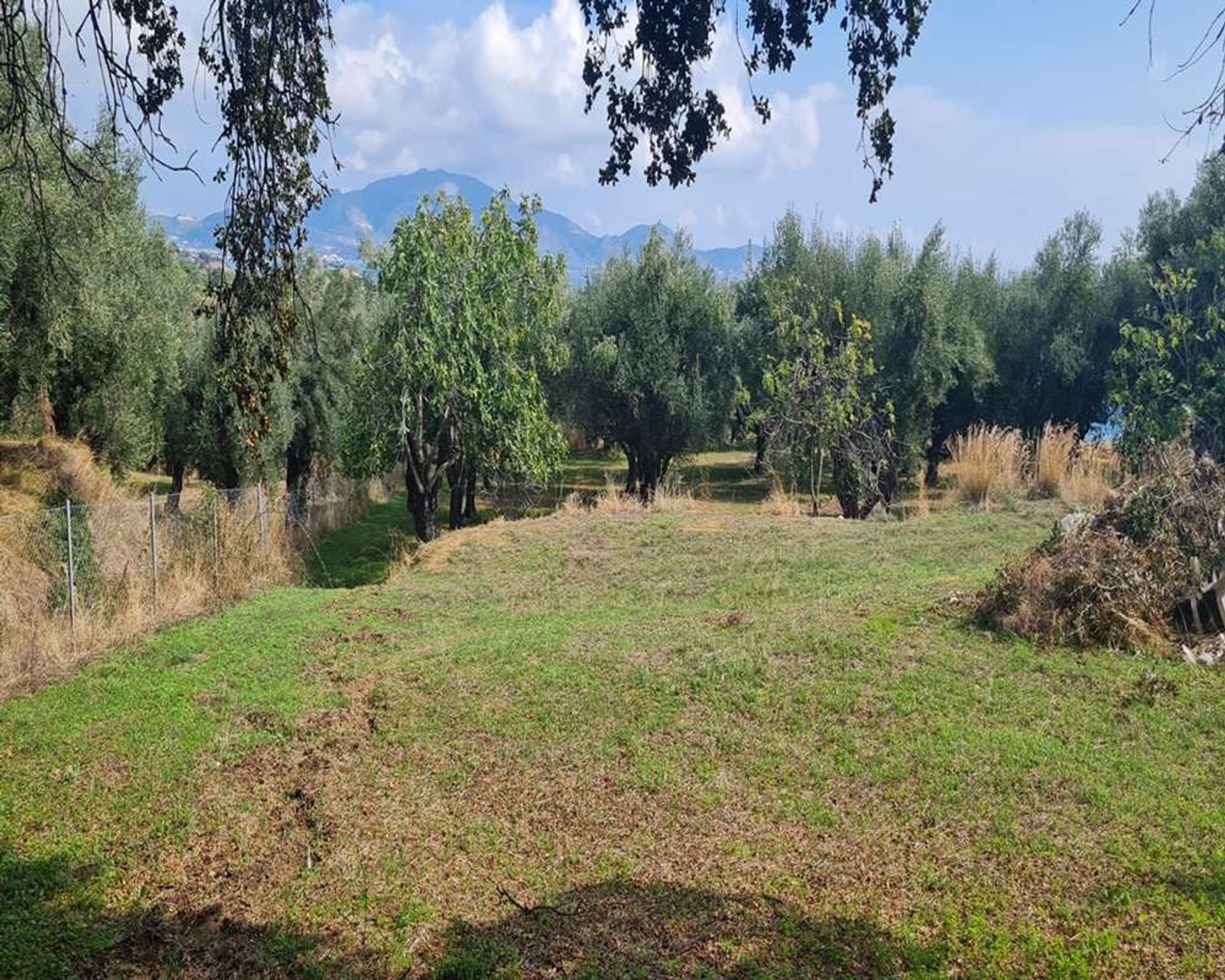 Land in Zakinthos,  10991554