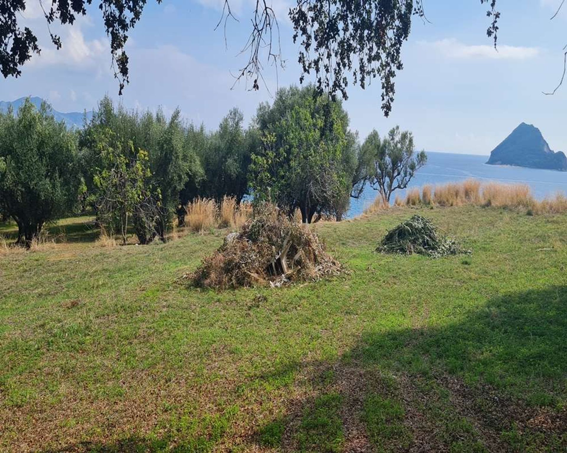 Land in Zakinthos,  10991554