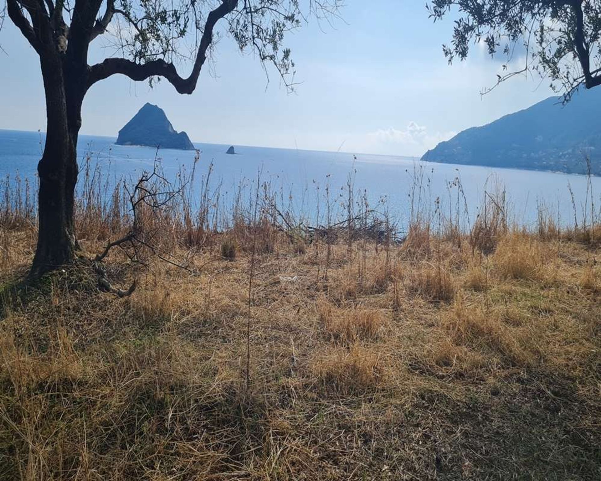 Land in Zakinthos,  10991554