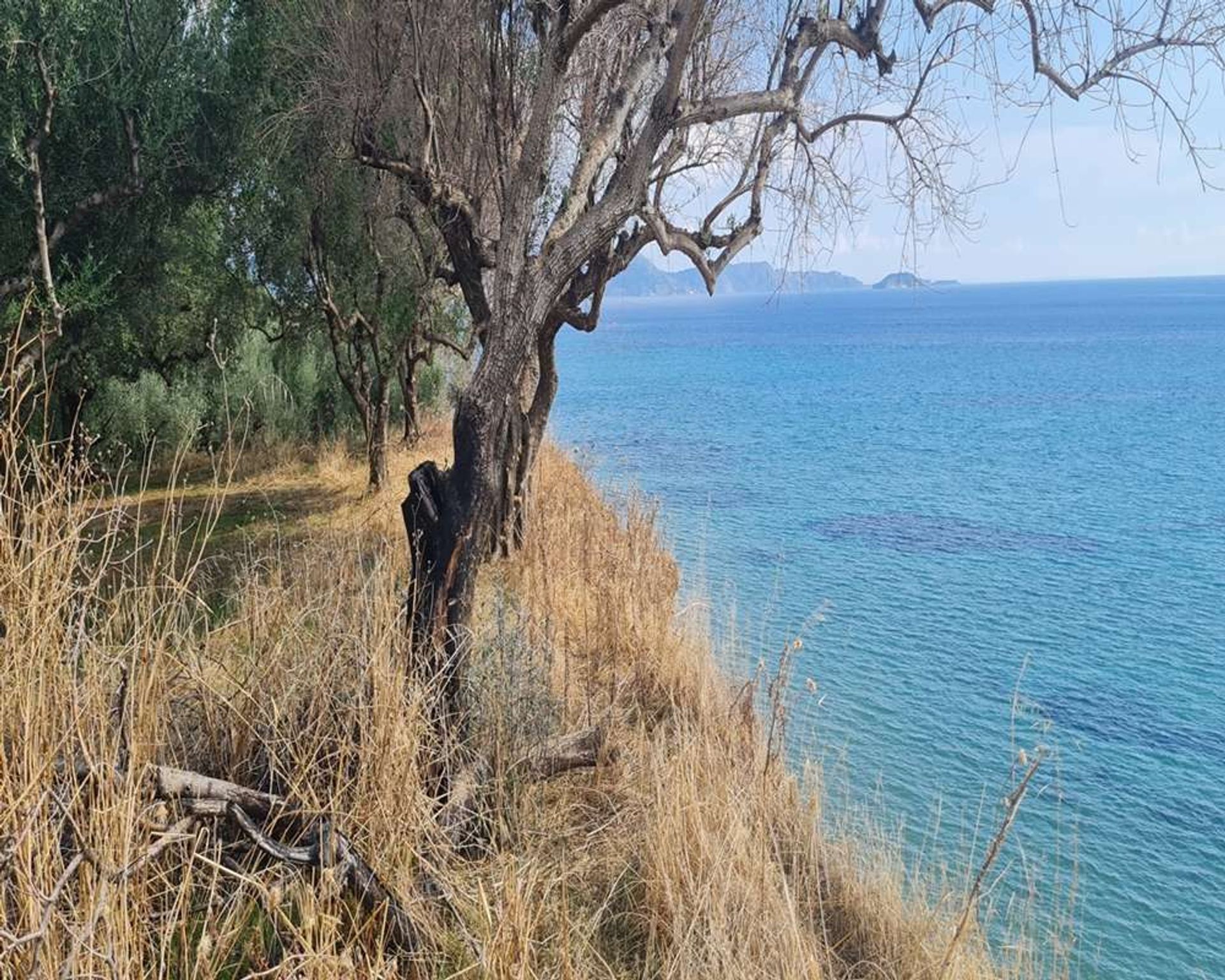 Land in Zakinthos,  10991554