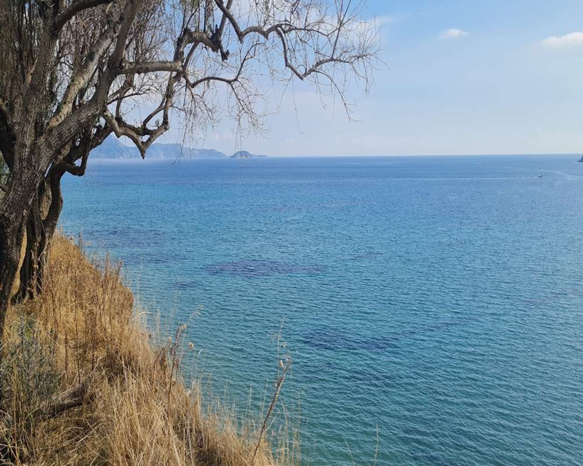 Land in Zakinthos,  10991554