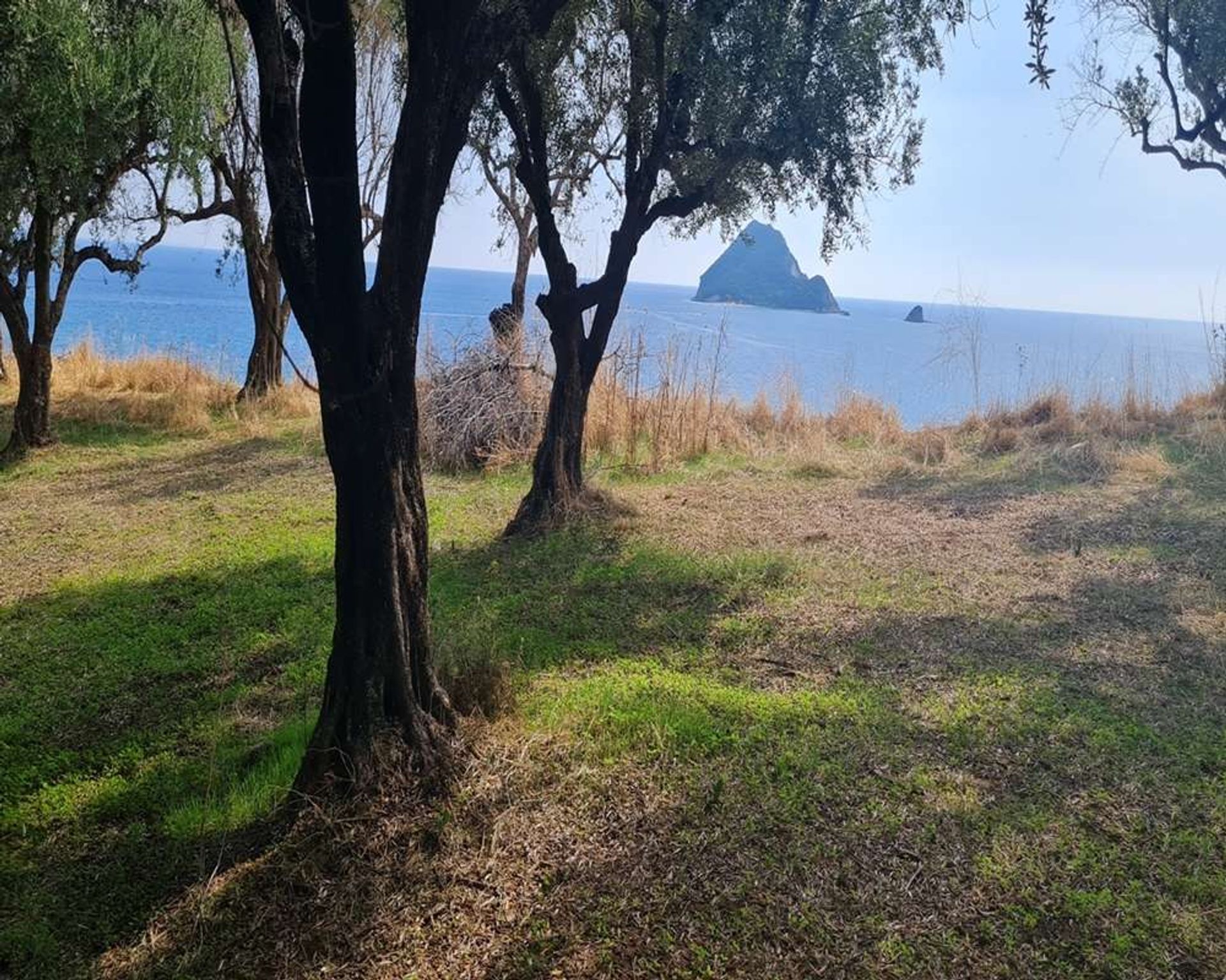 Land in Zakinthos,  10991554