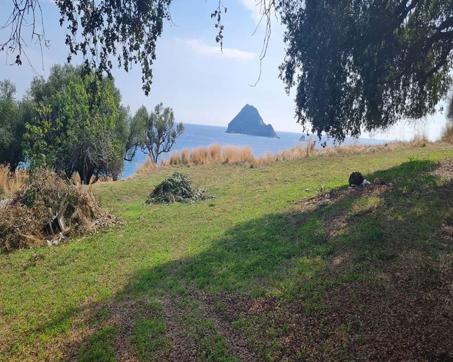 Land in Zakinthos,  10991554