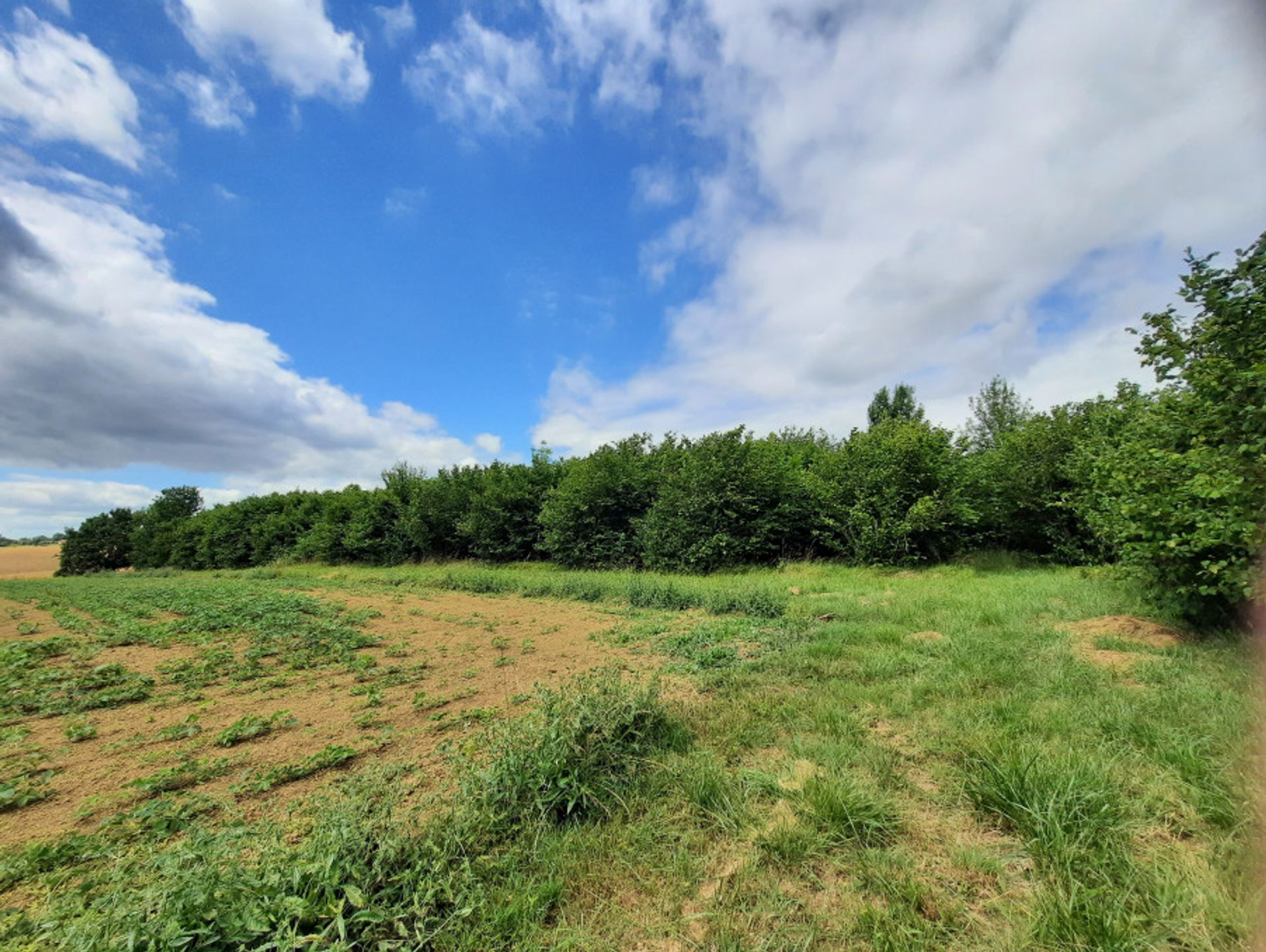 Land in Lachapelle, Nouvelle-Aquitaine 10991651