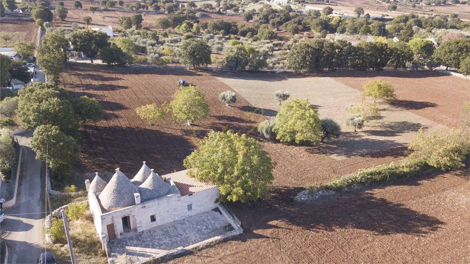 Talo sisään Monopoli, Apulia 10991753