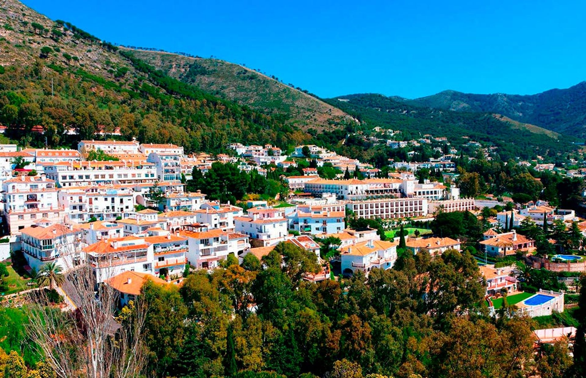 House in Las Lagunas, Andalusia 10991781