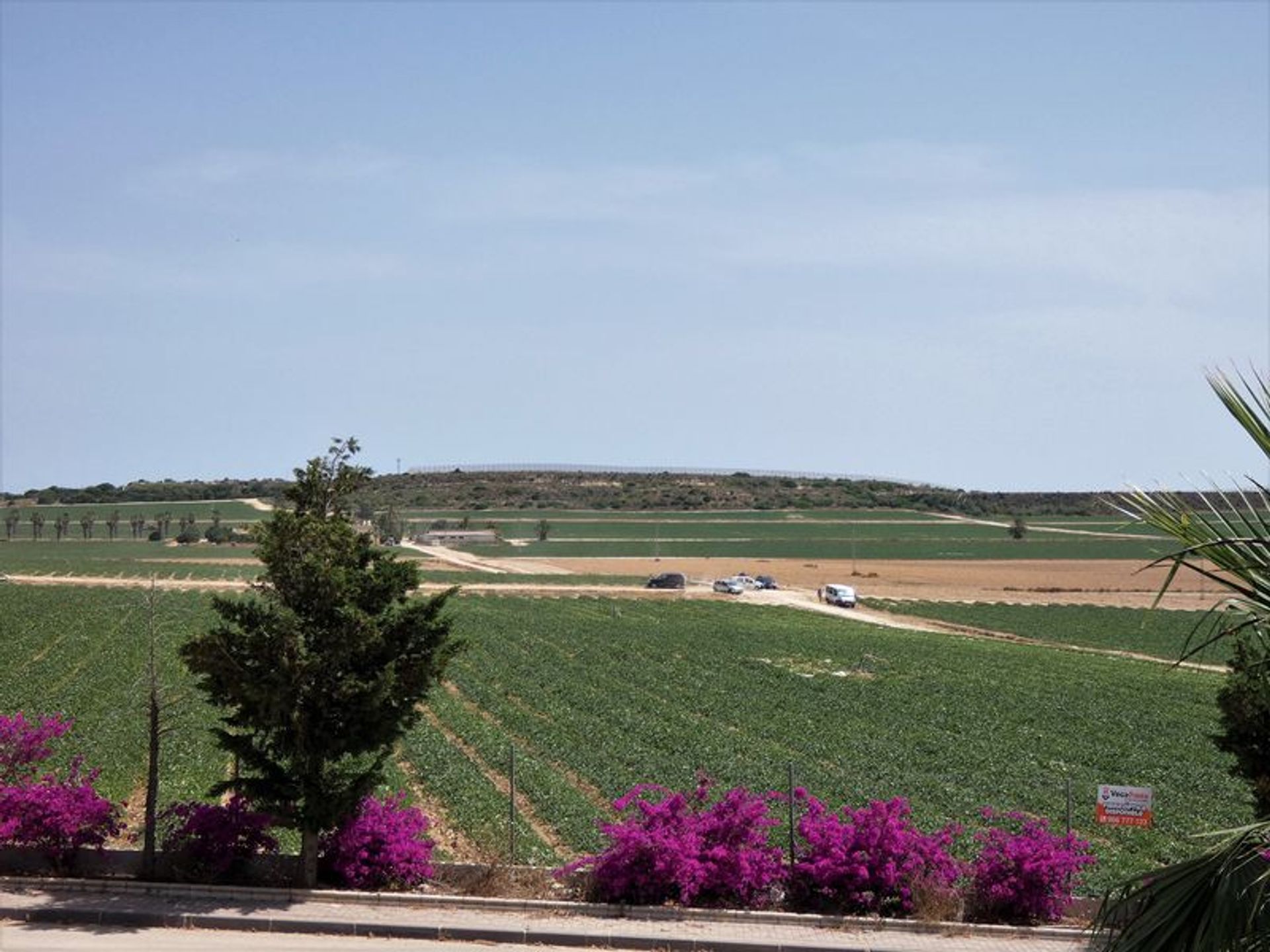 Casa nel Algorfa, Comunidad Valenciana 10991816