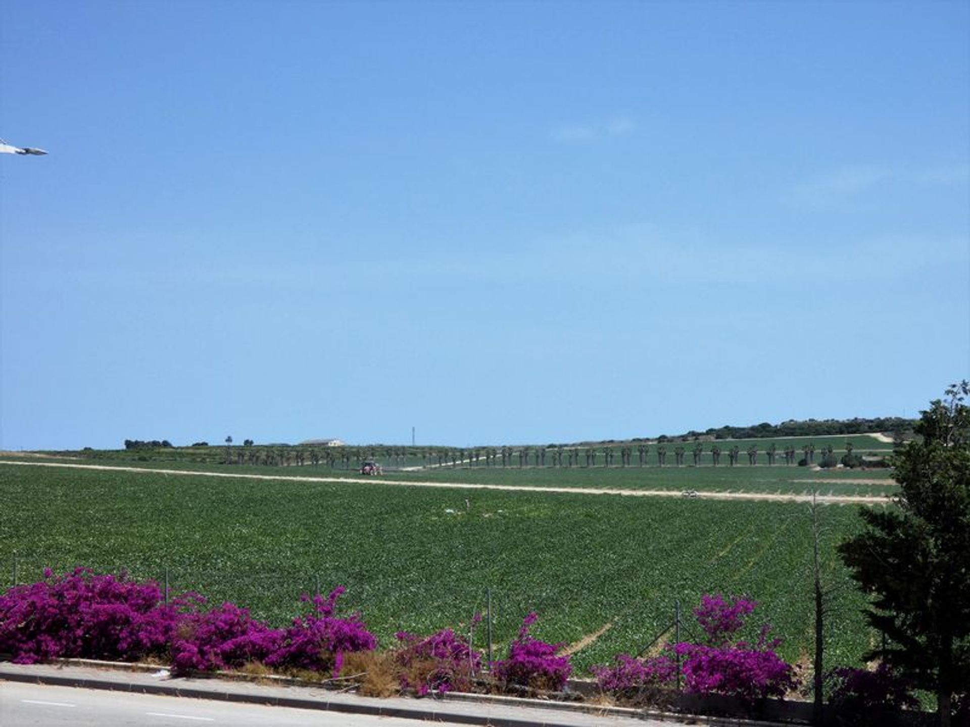 Casa nel Algorfa, Comunidad Valenciana 10991816