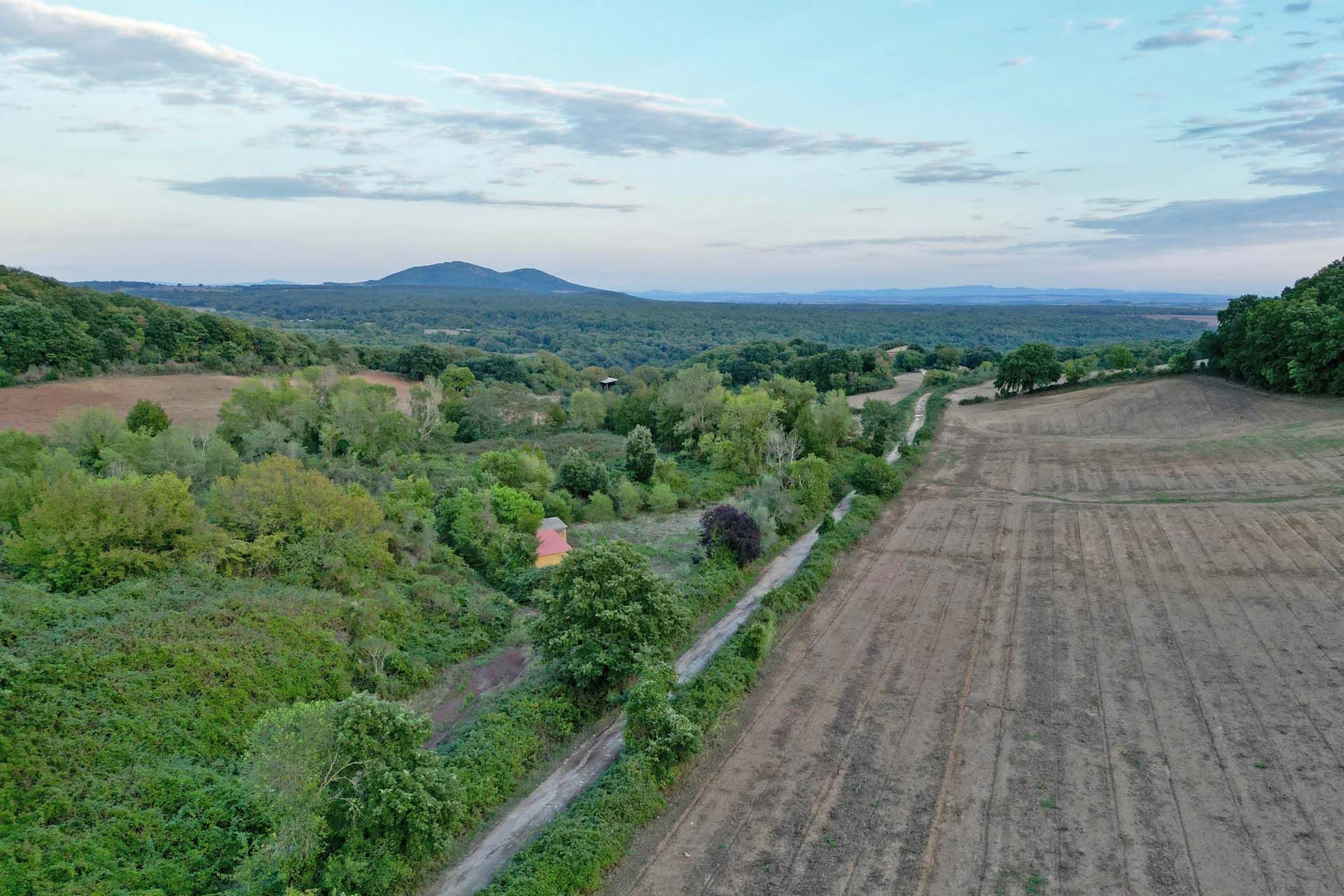 Andet i Capalbio, Toscana 10993483