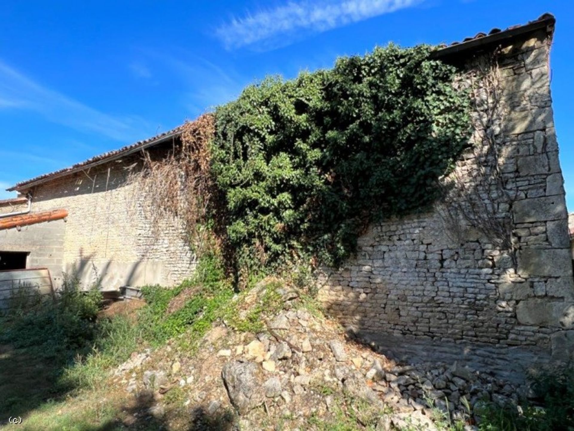 Hus i Villefagnan, Nouvelle-Aquitaine 10993500