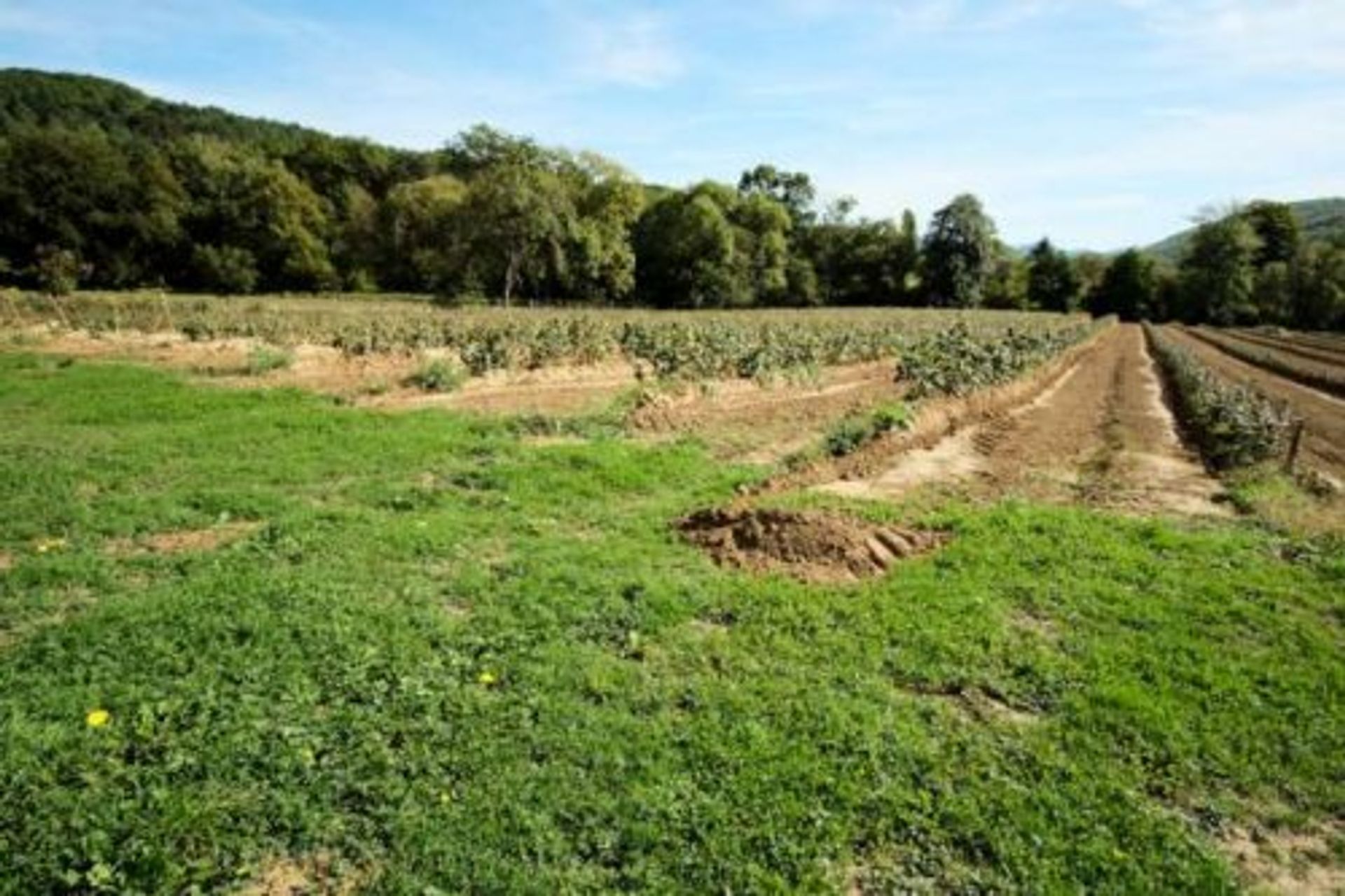 rumah dalam Mirepoix, Occitanie 10993640