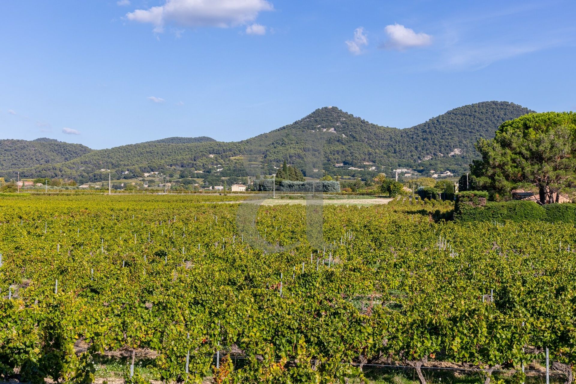 Annen i Séguret, Provence-Alpes-Côte d'Azur 10993754