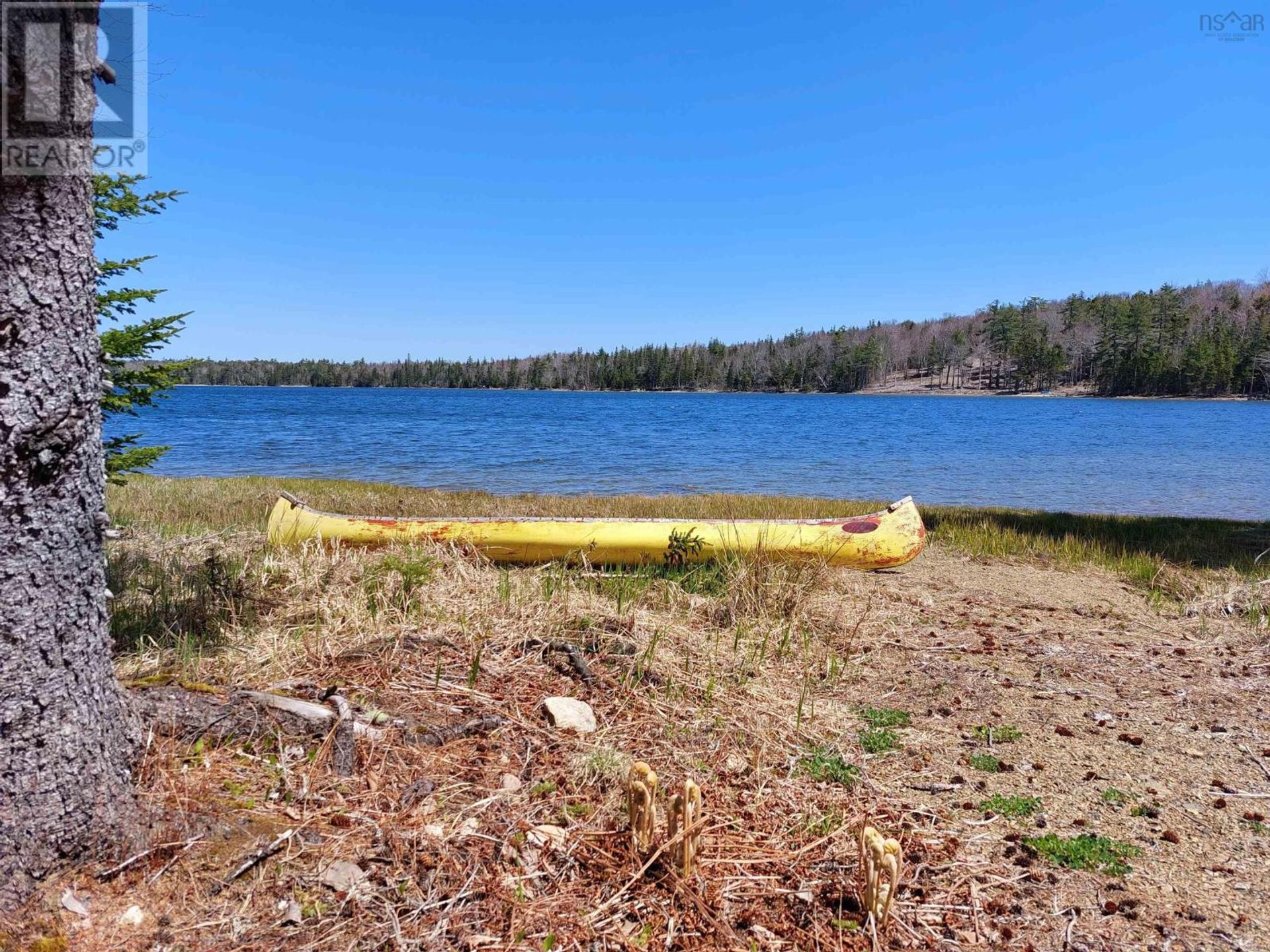 Osakehuoneisto sisään , Nova Scotia 10994244