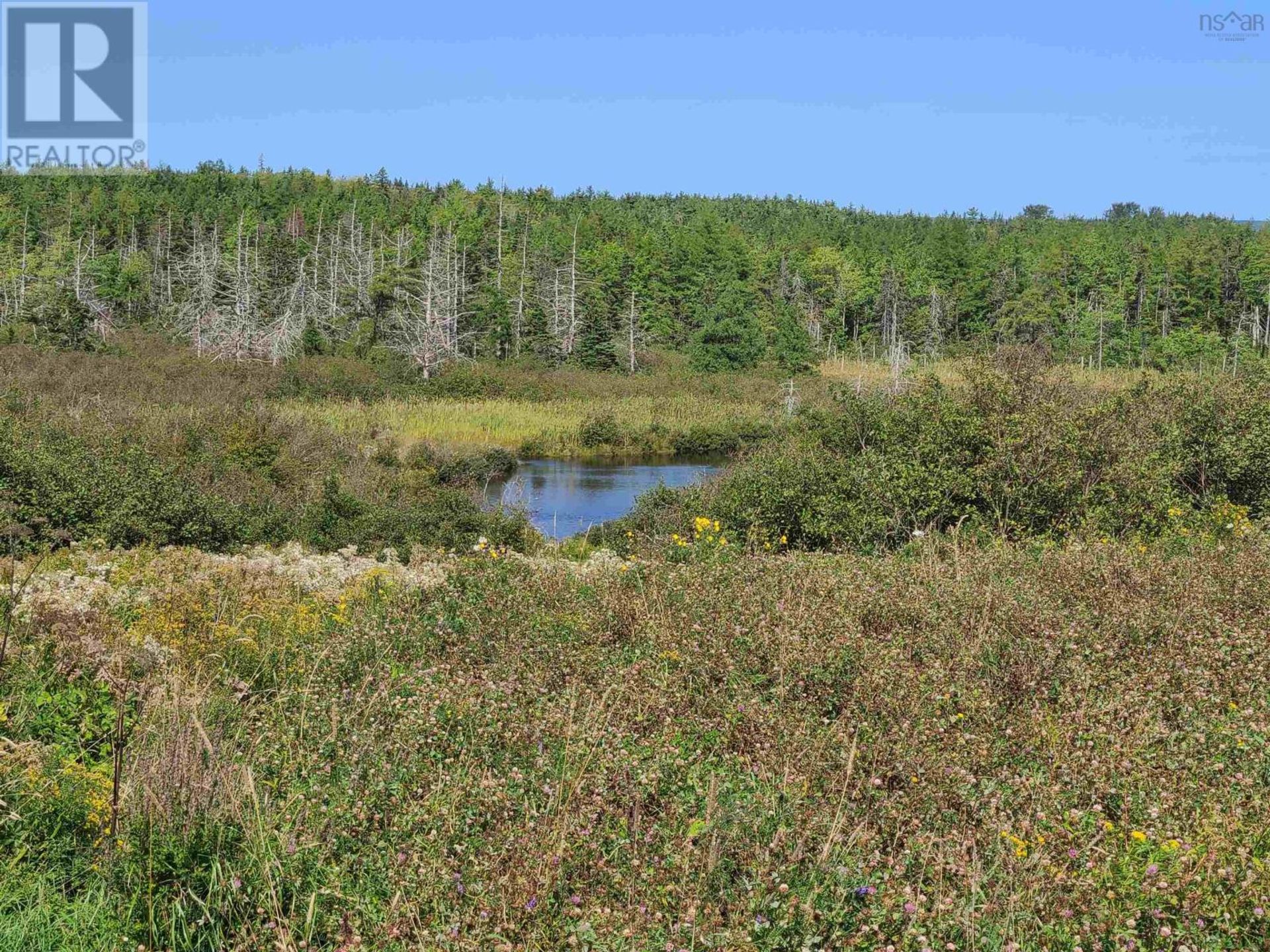 Квартира в , Nova Scotia 10994293