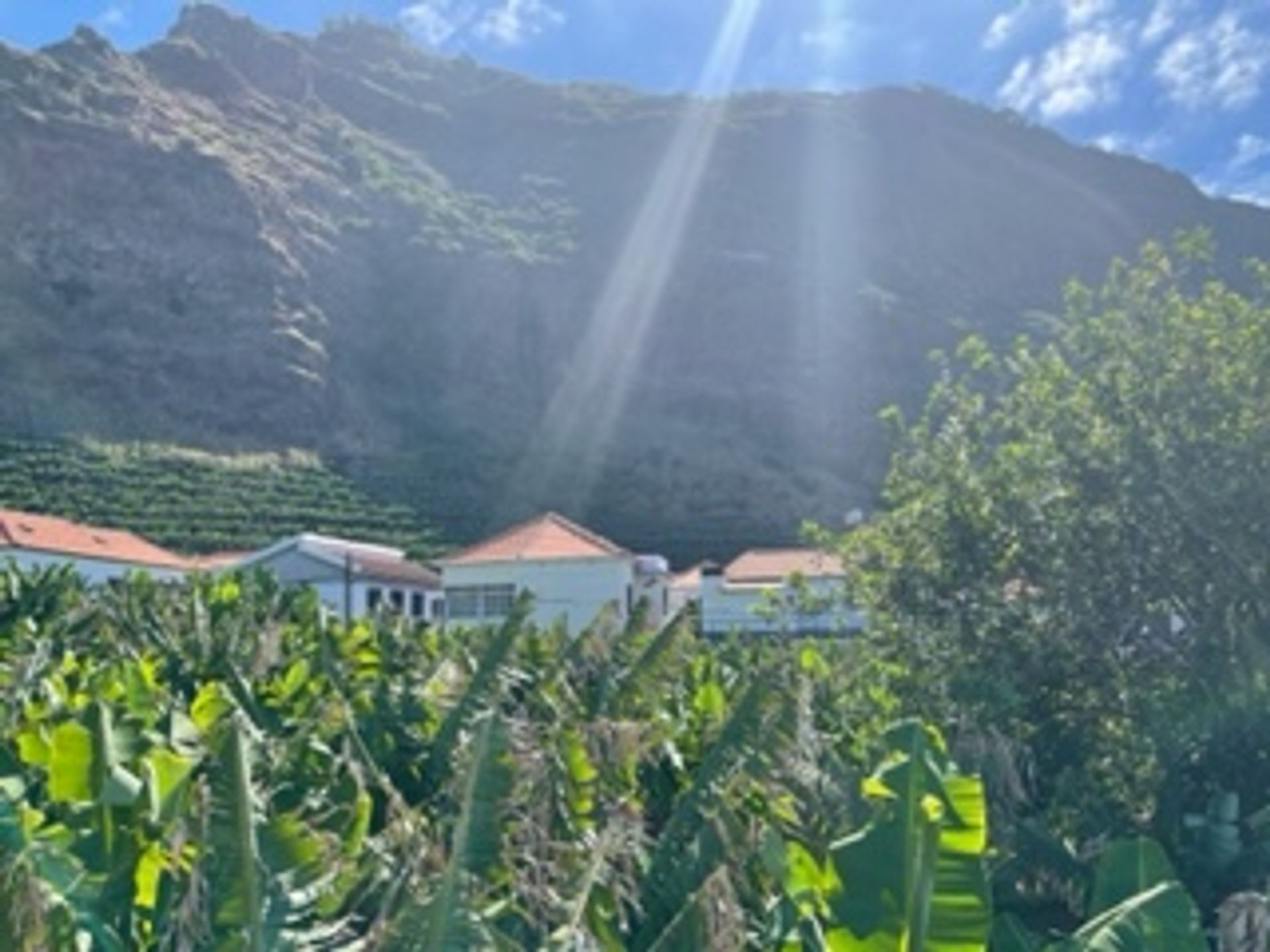 rumah dalam Madalena do Mar, Madeira 10994734