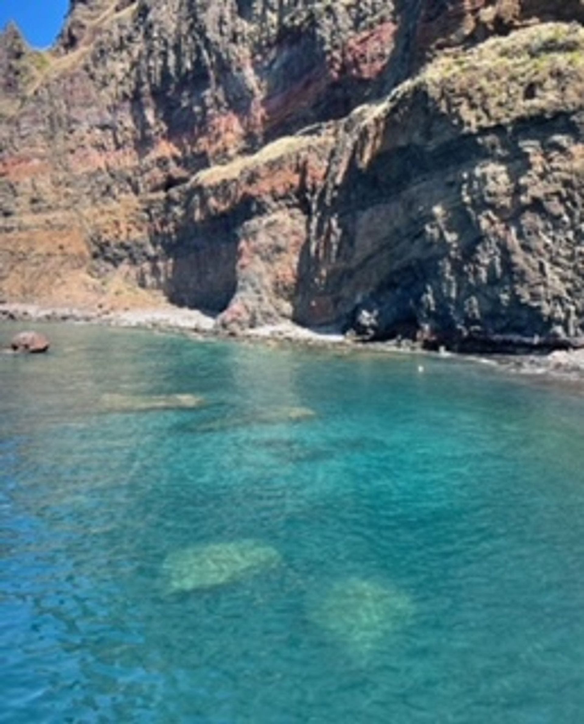 rumah dalam Madalena do Mar, Madeira 10994734