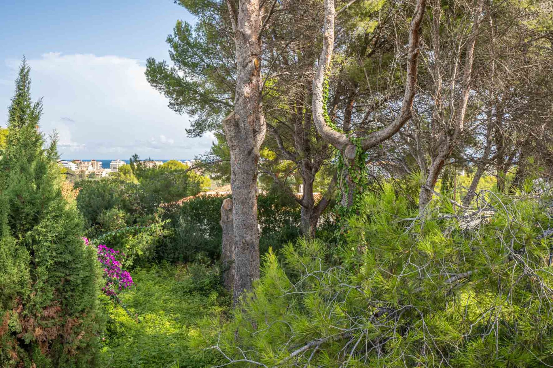 Tanah di Jávea, Comunidad Valenciana 10994735