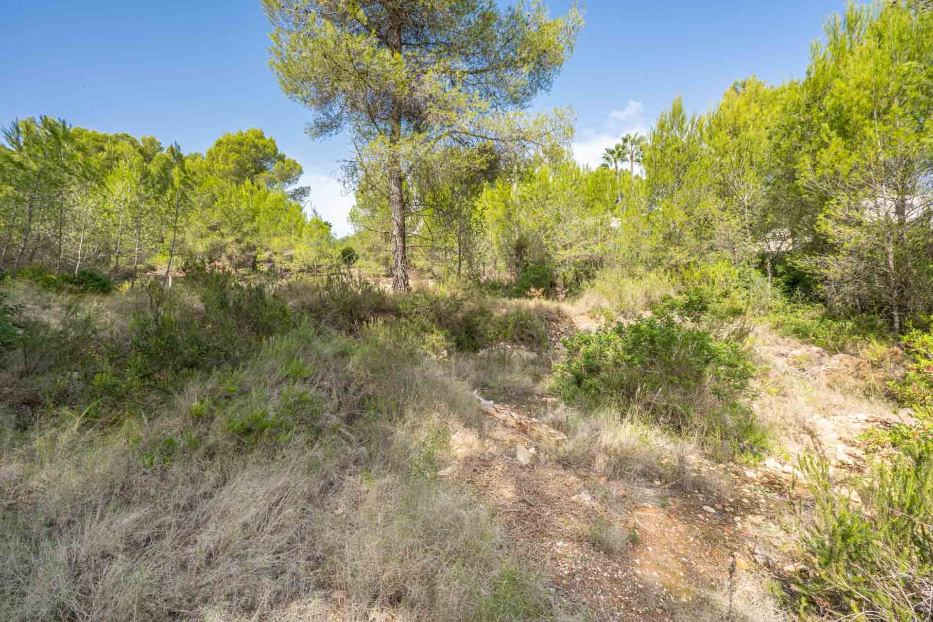 Land in Xàbia, Comunidad Valenciana 10994751