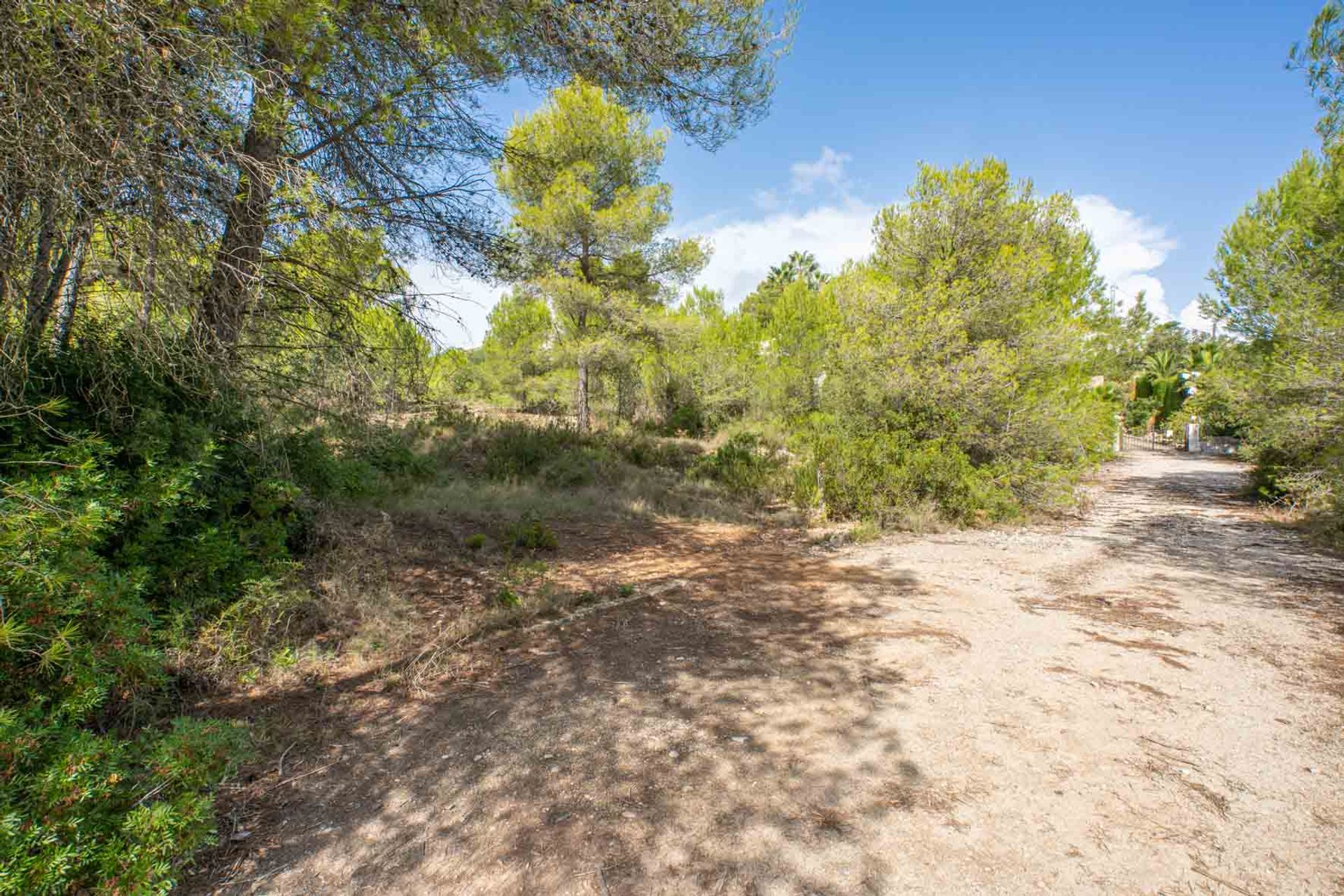 Land in Xàbia, Comunidad Valenciana 10994751