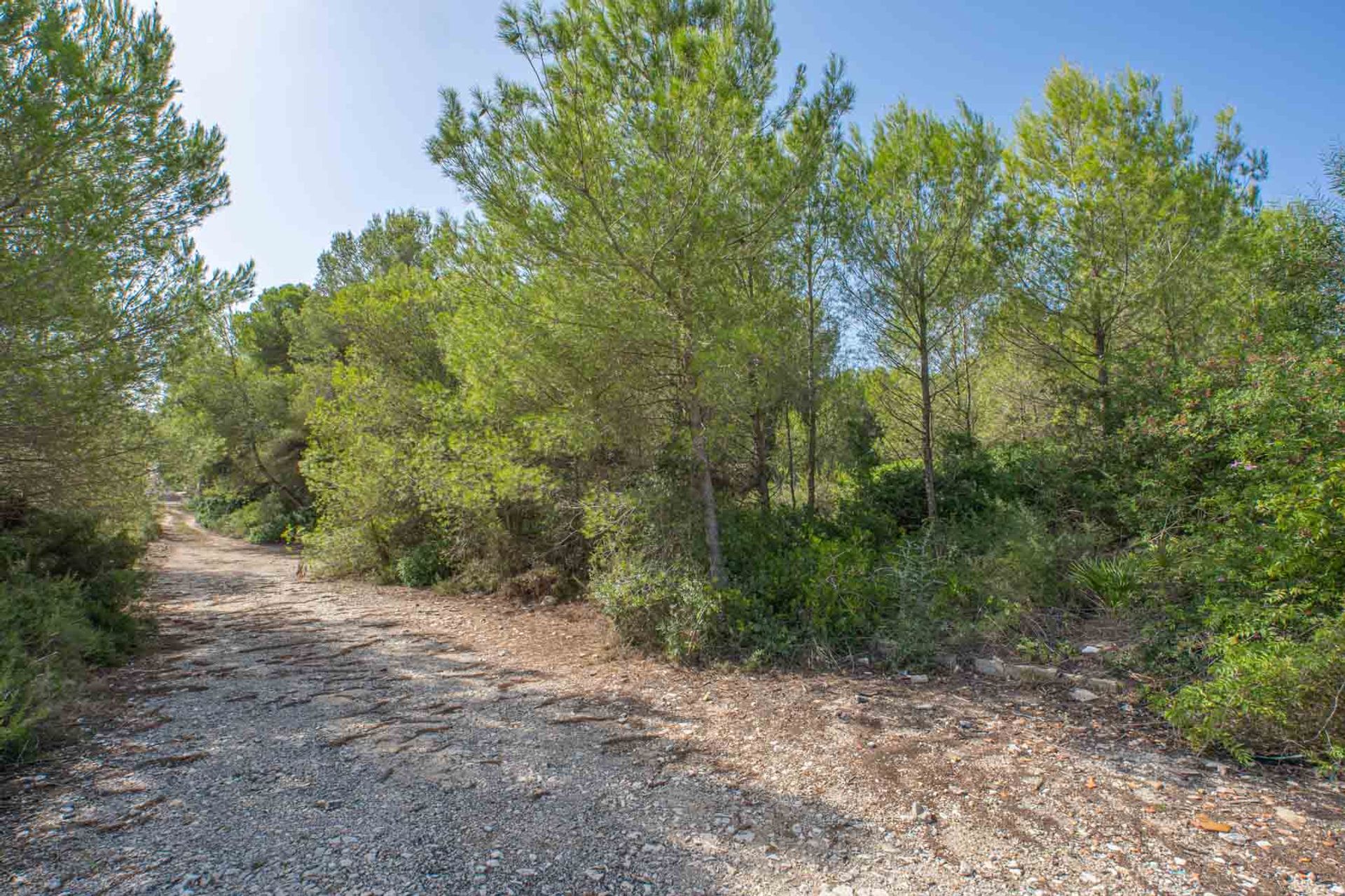 Land in Xàbia, Comunidad Valenciana 10994751