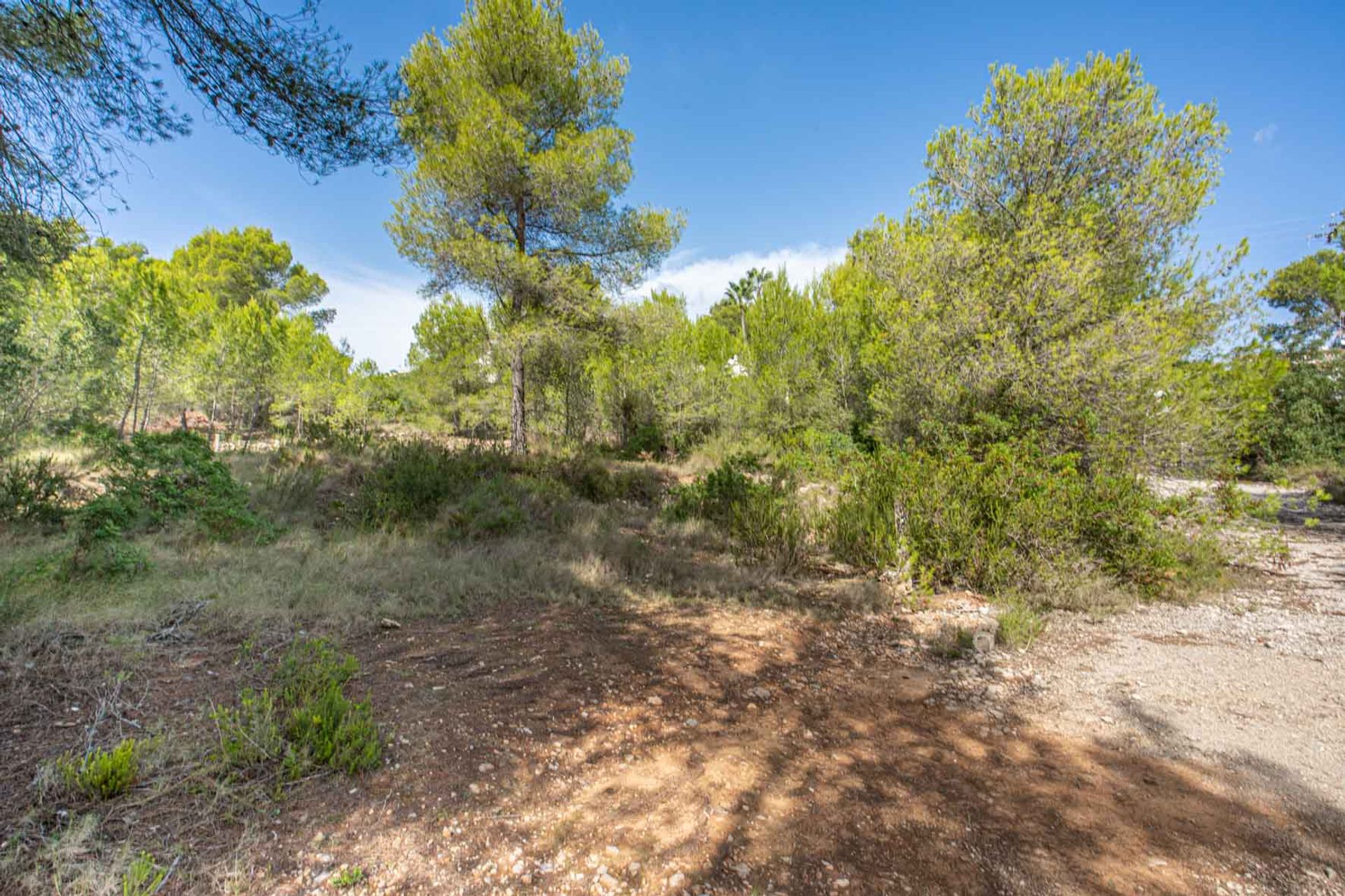 Land in Xàbia, Comunidad Valenciana 10994751