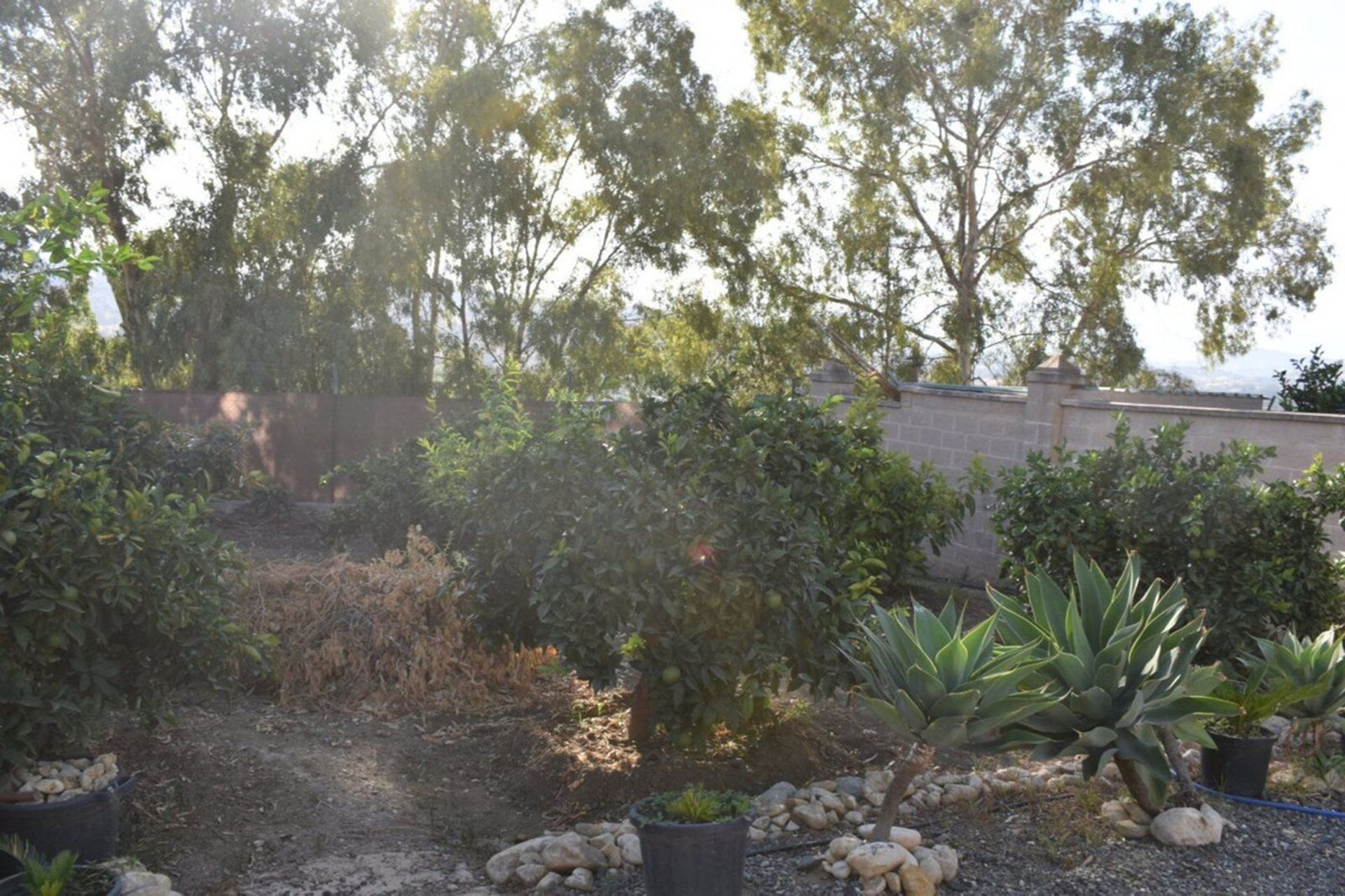 House in Alhaurín el Grande, Andalusia 10995025