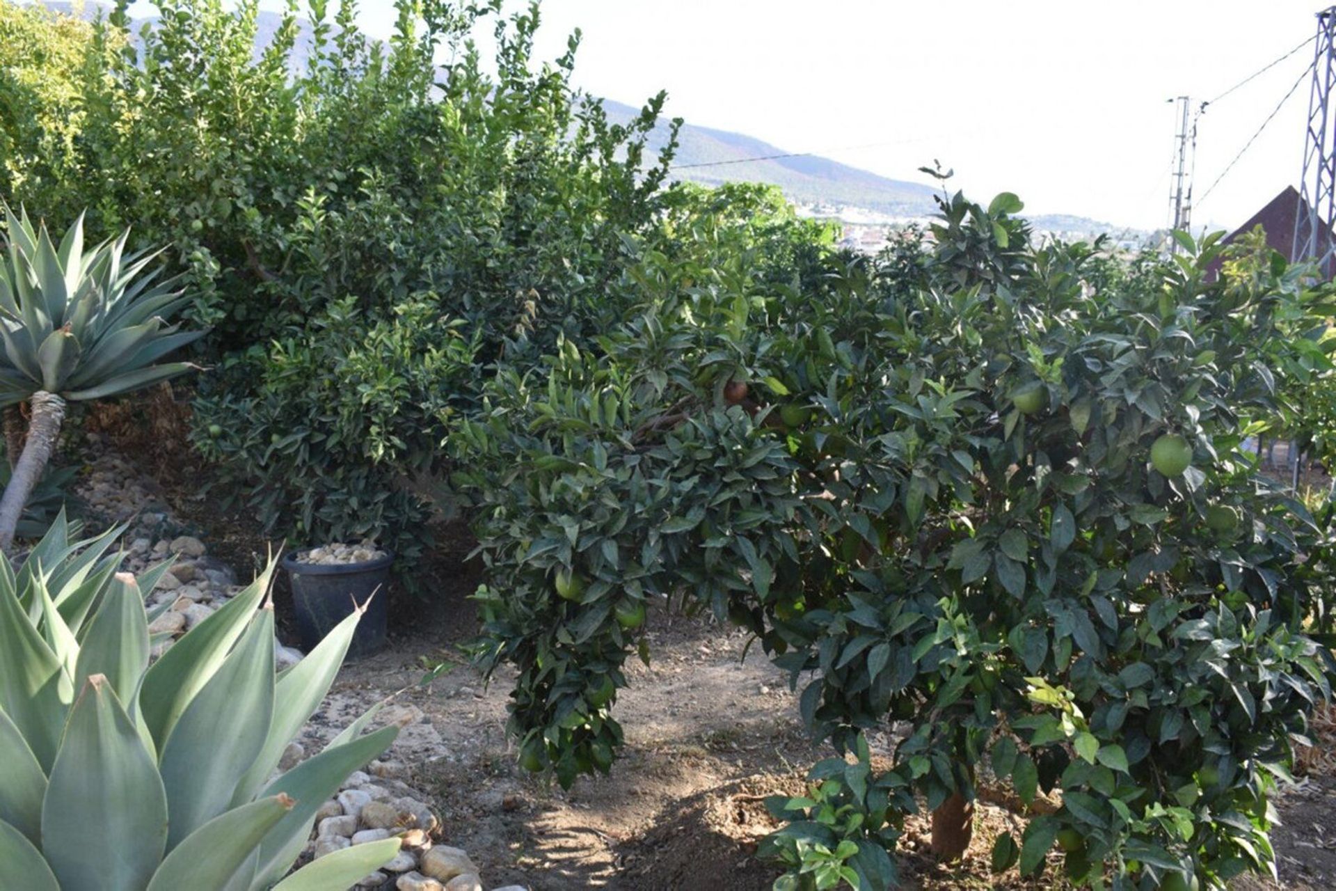 House in Alhaurín el Grande, Andalusia 10995025