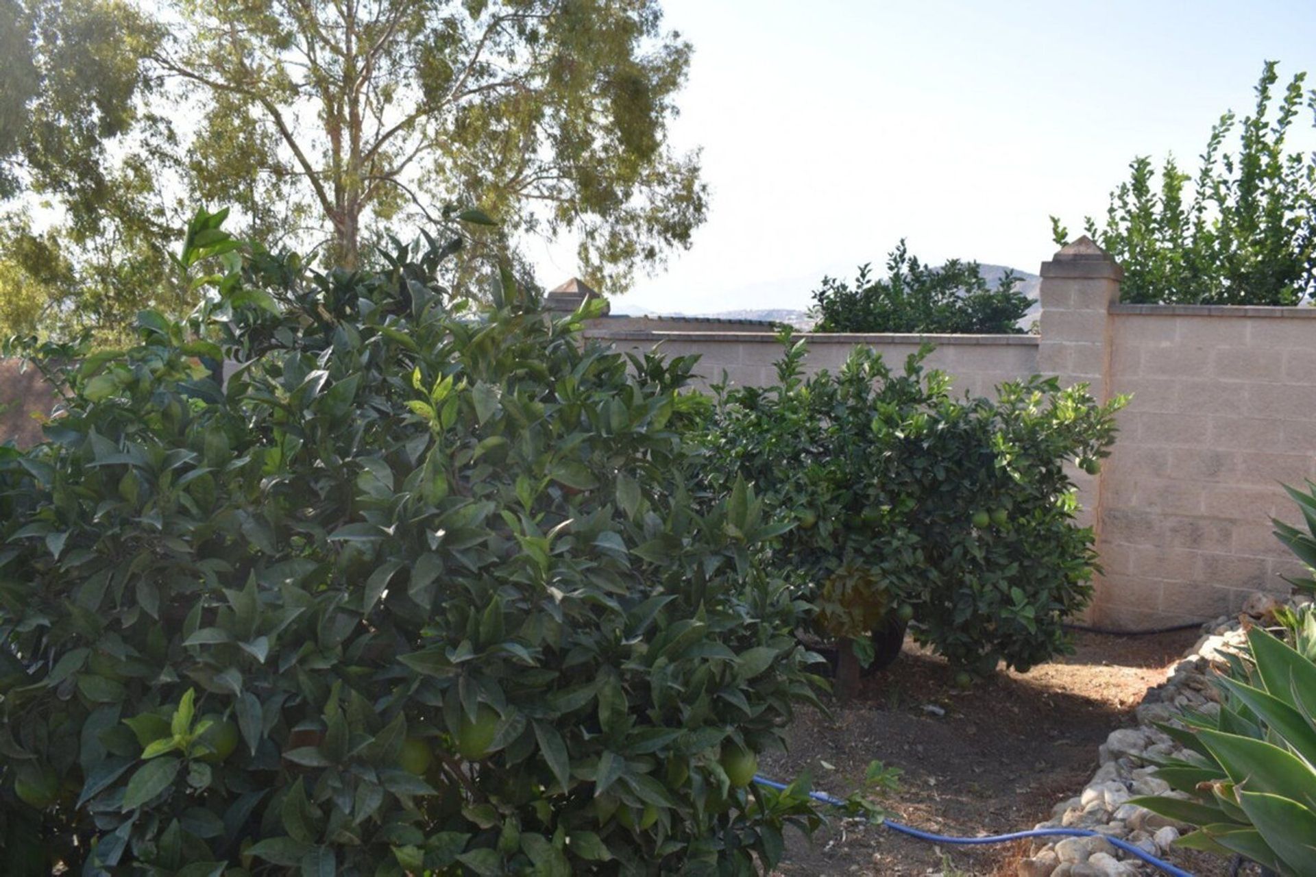 House in Alhaurín el Grande, Andalusia 10995025