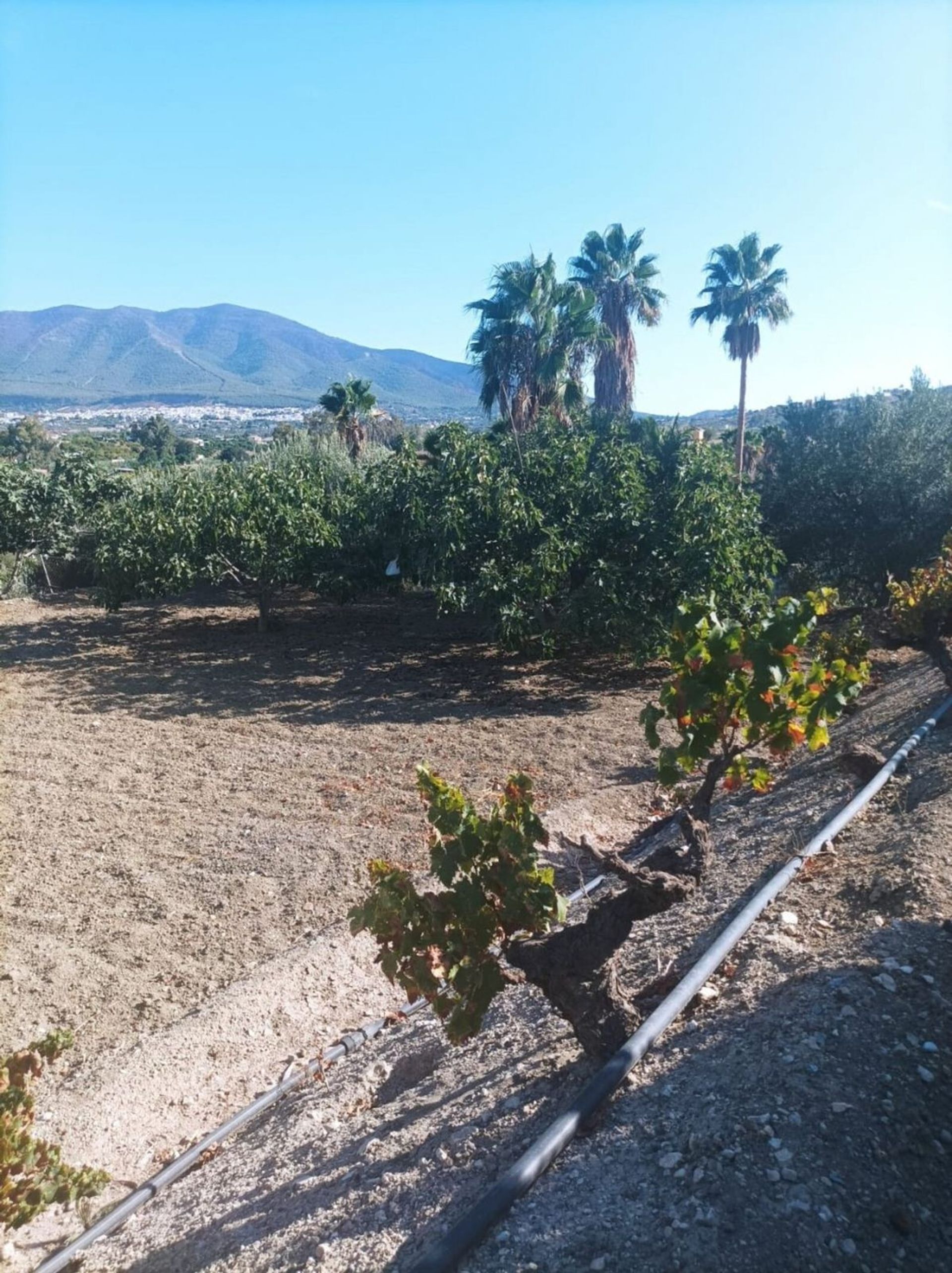 بيت في Alhaurín el Grande, Andalusia 10995927