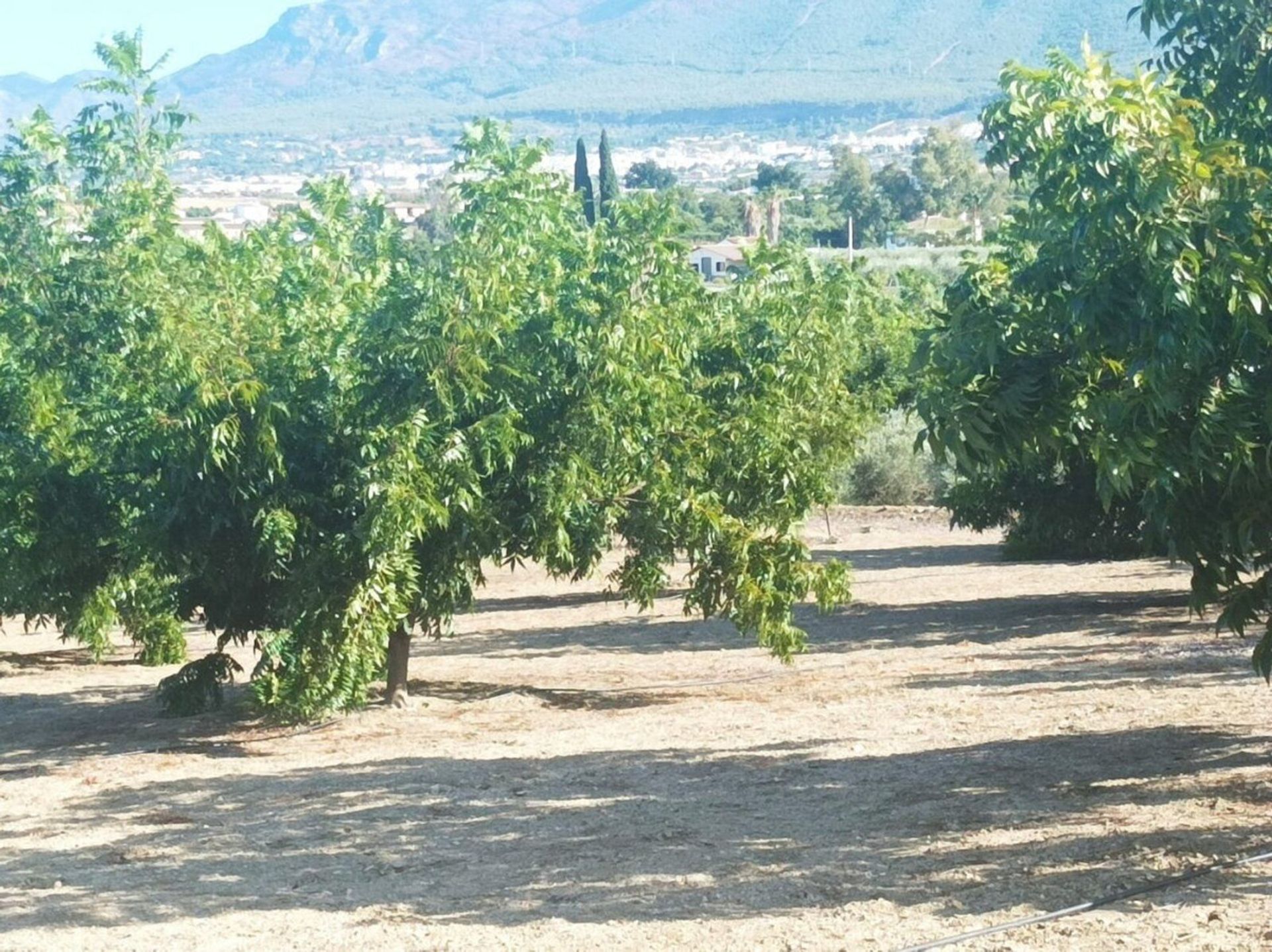 بيت في Alhaurín el Grande, Andalusia 10995927