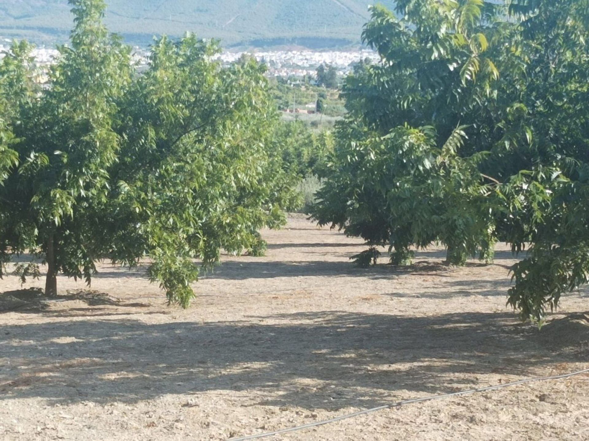 بيت في Alhaurín el Grande, Andalusia 10995927