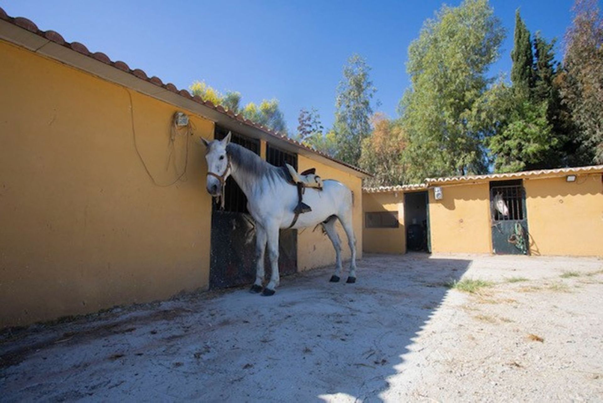 casa no Cártama, Andalusia 10996217